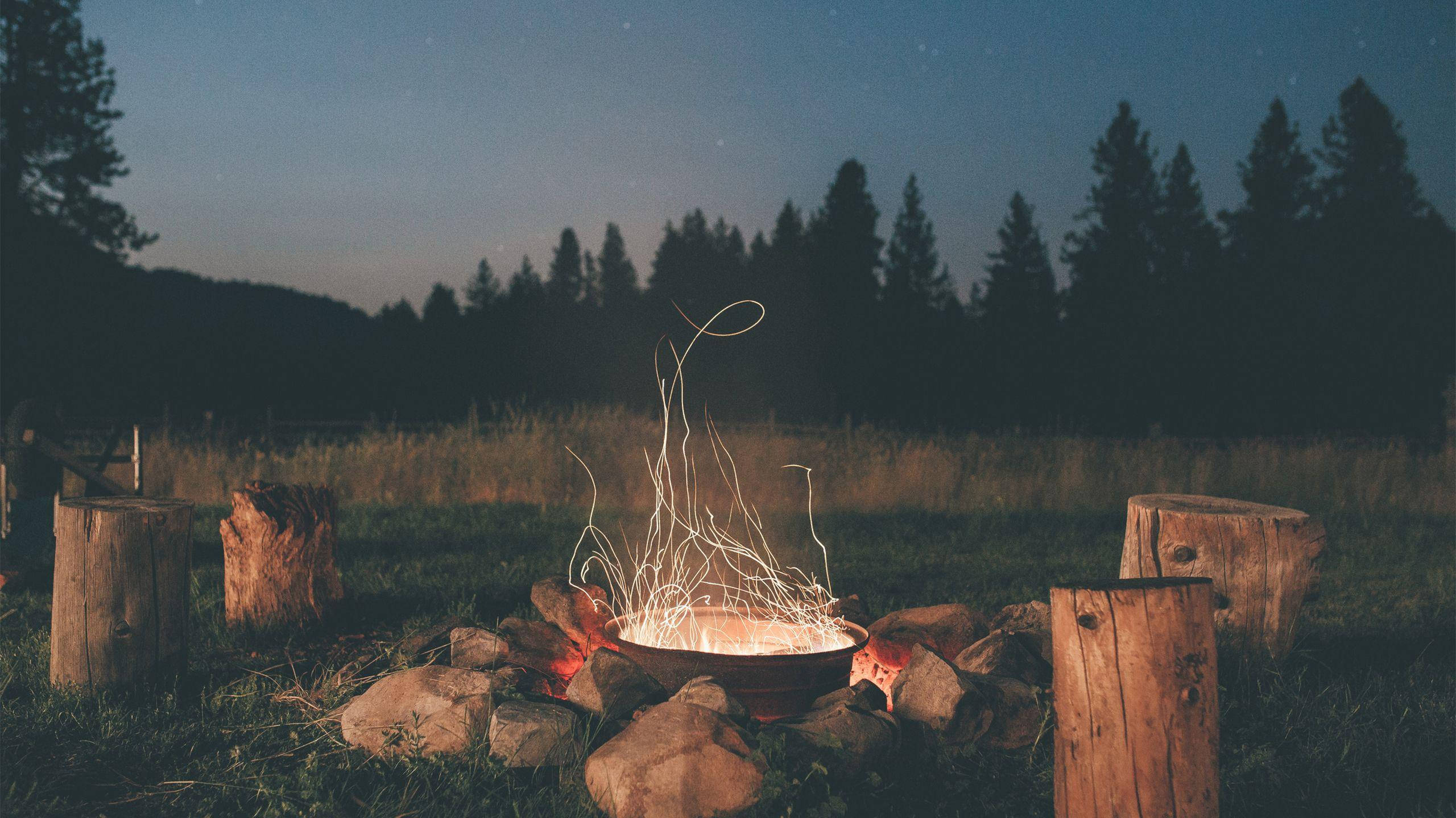 campfire, starlit meadow, pine trees, 2K Desktop Wallpaper