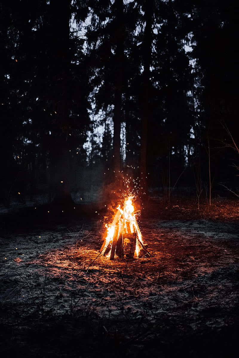 Campfire, forest, night, SD Phone Wallpaper