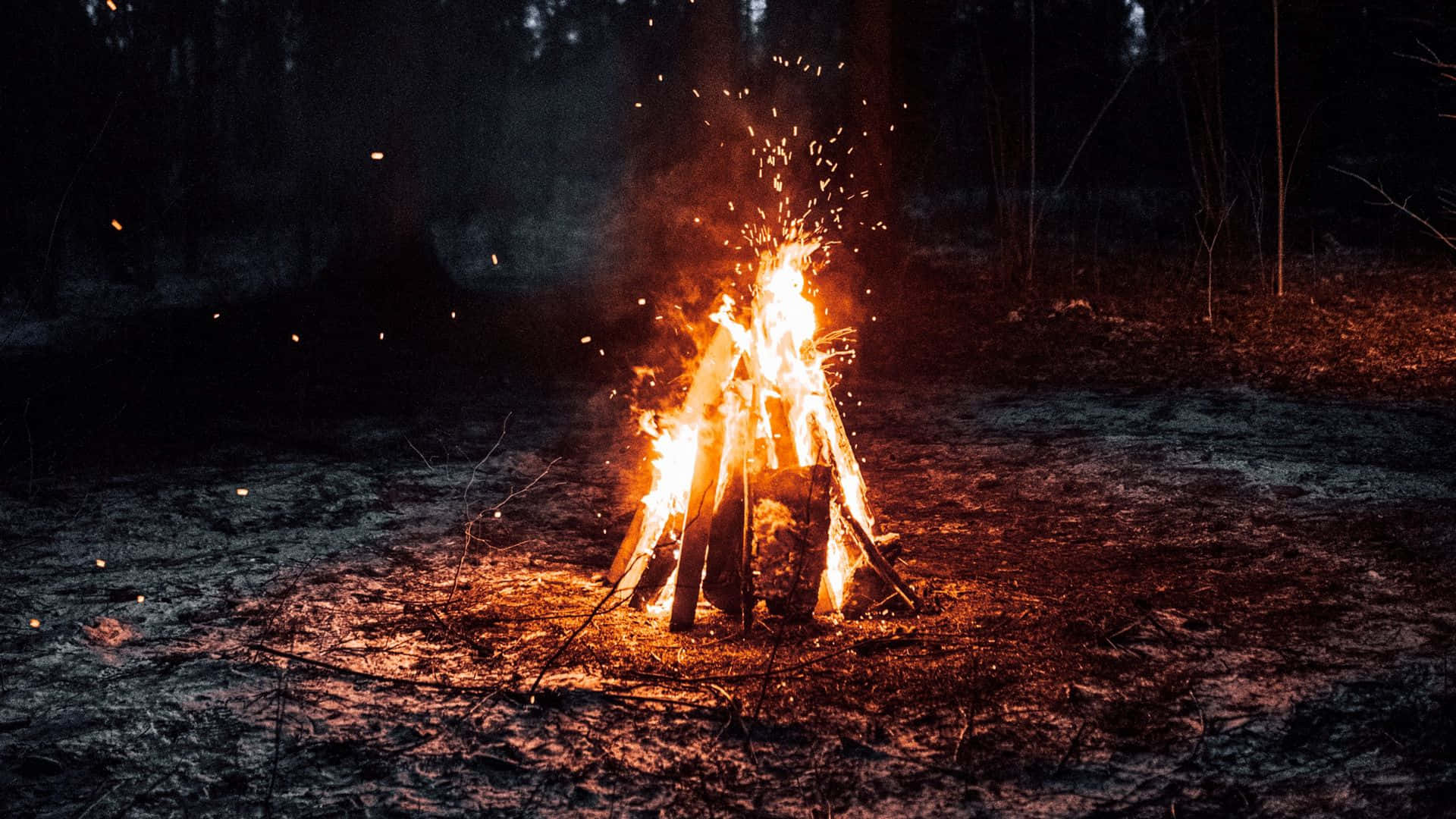 Campfire, campgrounds, dark forest floor, Full HD Desktop Wallpaper