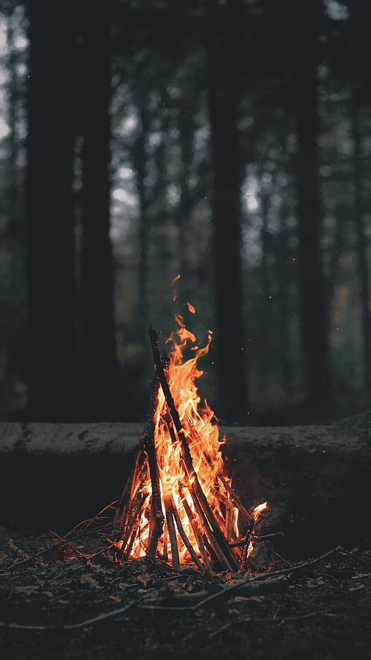 teepee, campfire, dark forest, HD Phone Wallpaper