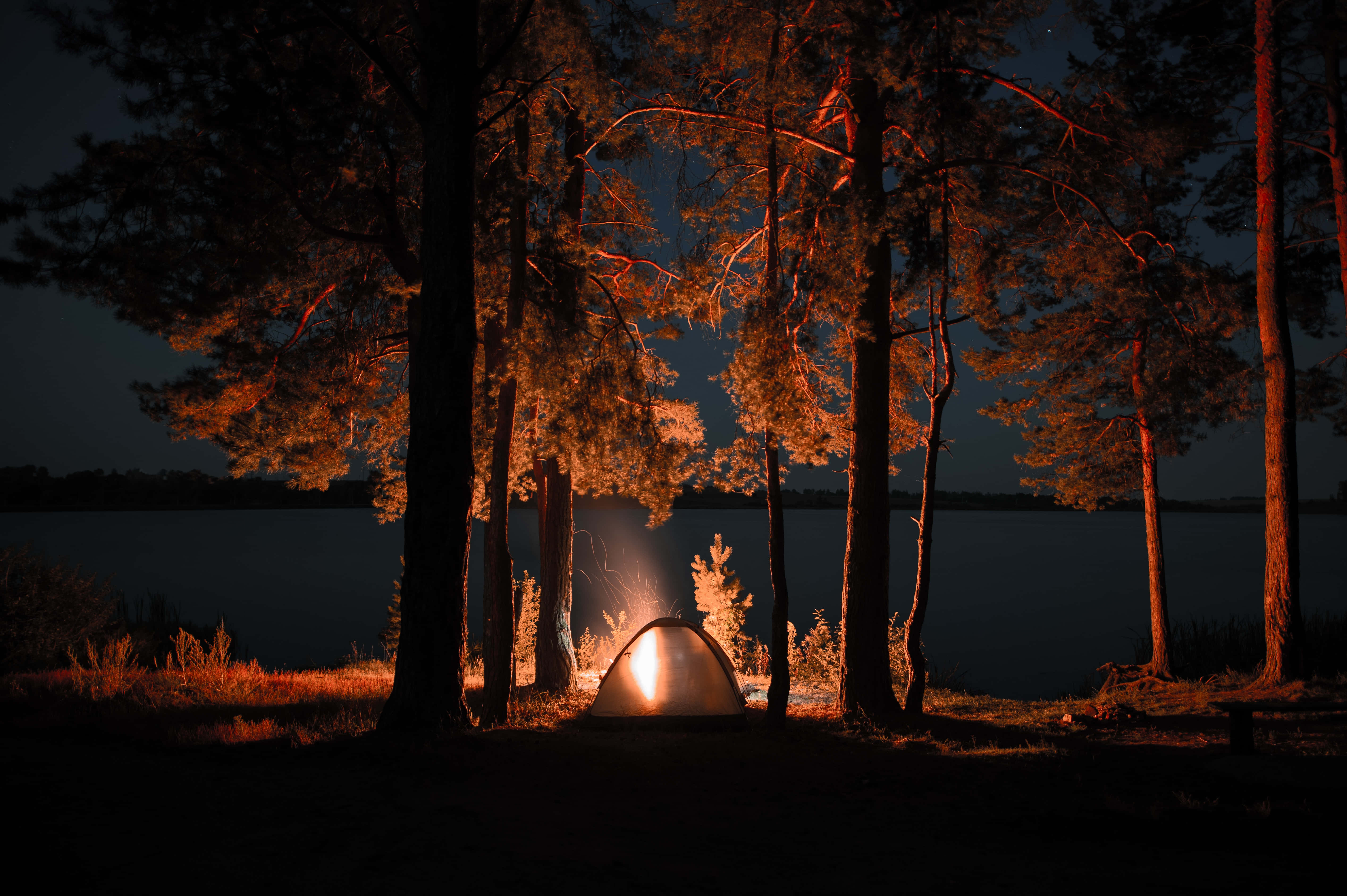 tent, pine trees, campfire, 5K Desktop Wallpaper