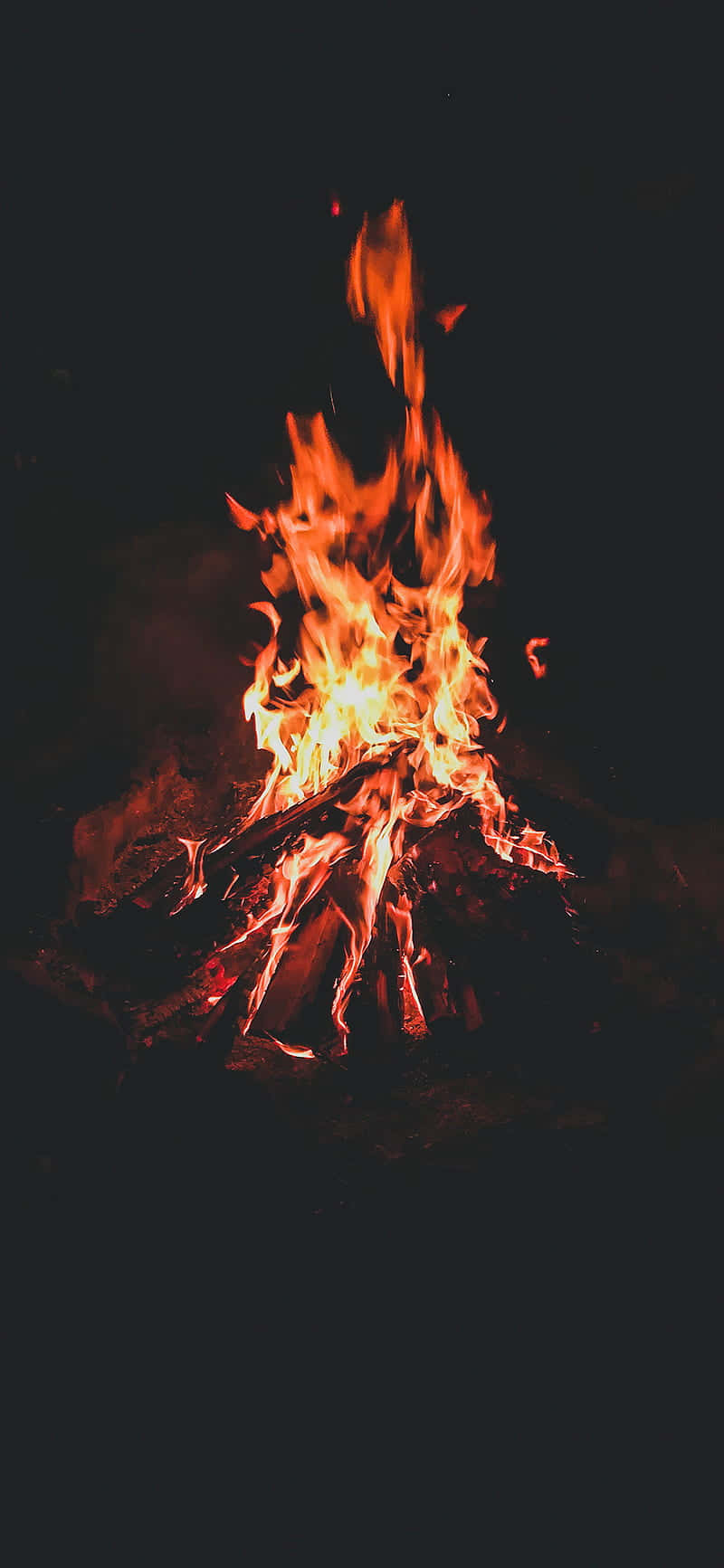 Red-Orange Blazing Campfire, pitch black night sky, warm orange and yellow light, HD Phone Wallpaper