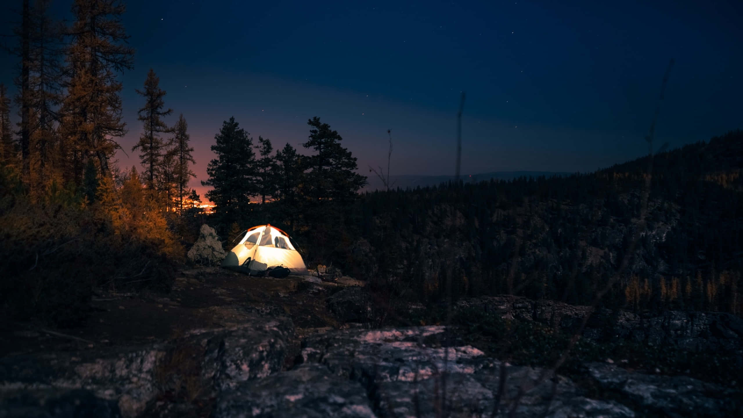glowing tent, forest, twilight, 2K Desktop Wallpaper