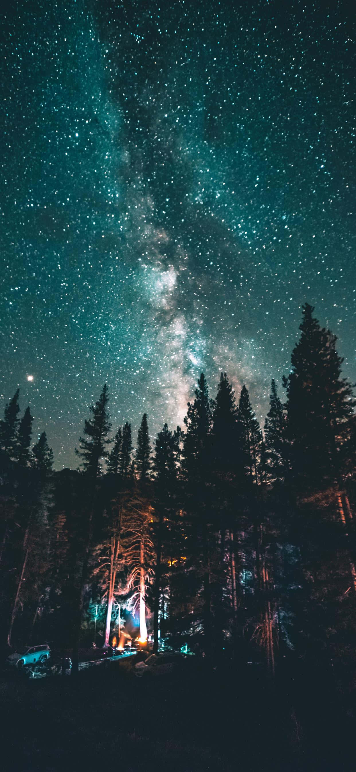 Starry Night Campfire, teal Milky Way, dense pine forest, 2K Phone Wallpaper