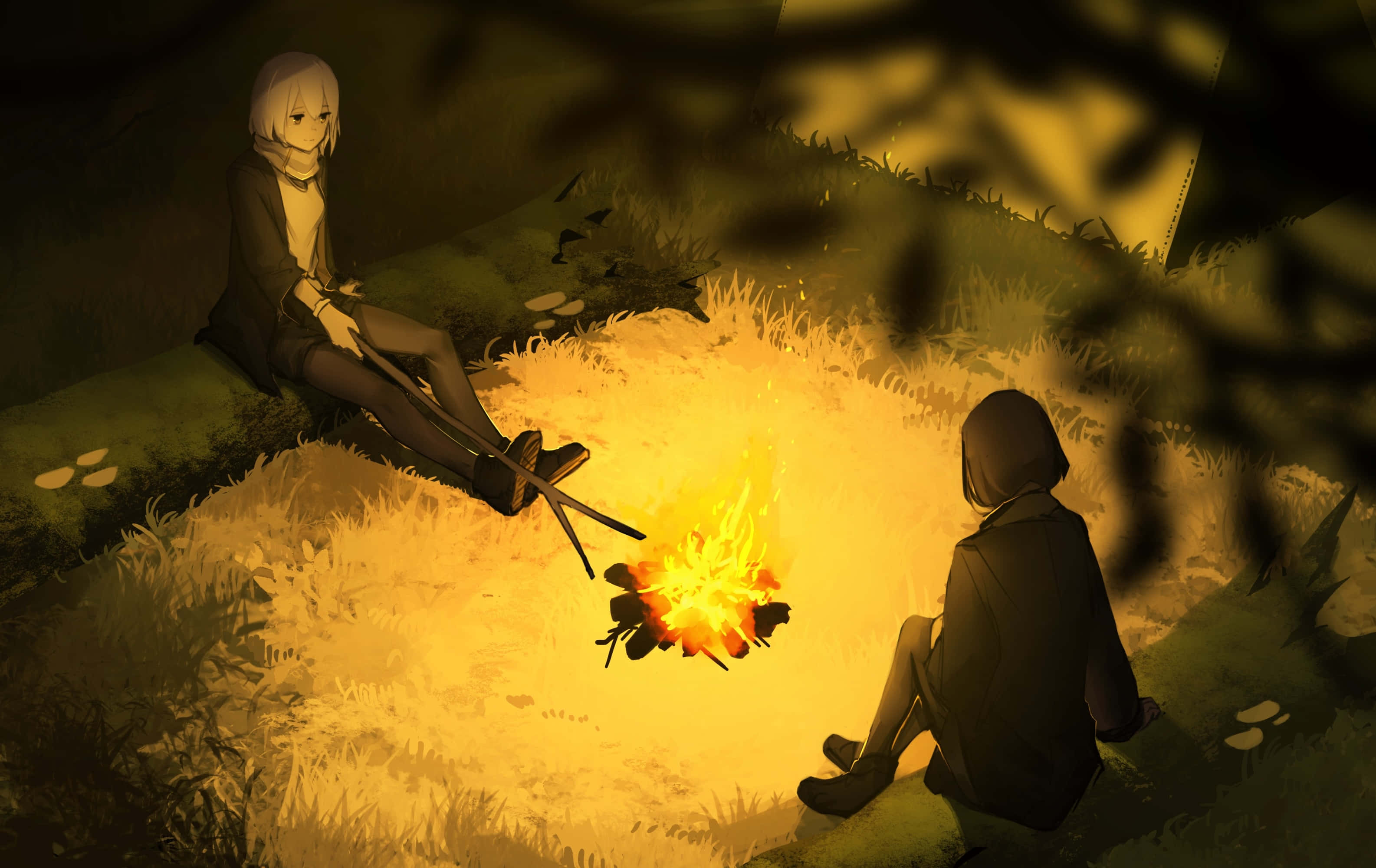 campfire, grassy clearing, canopy of trees, 2K Desktop Wallpaper