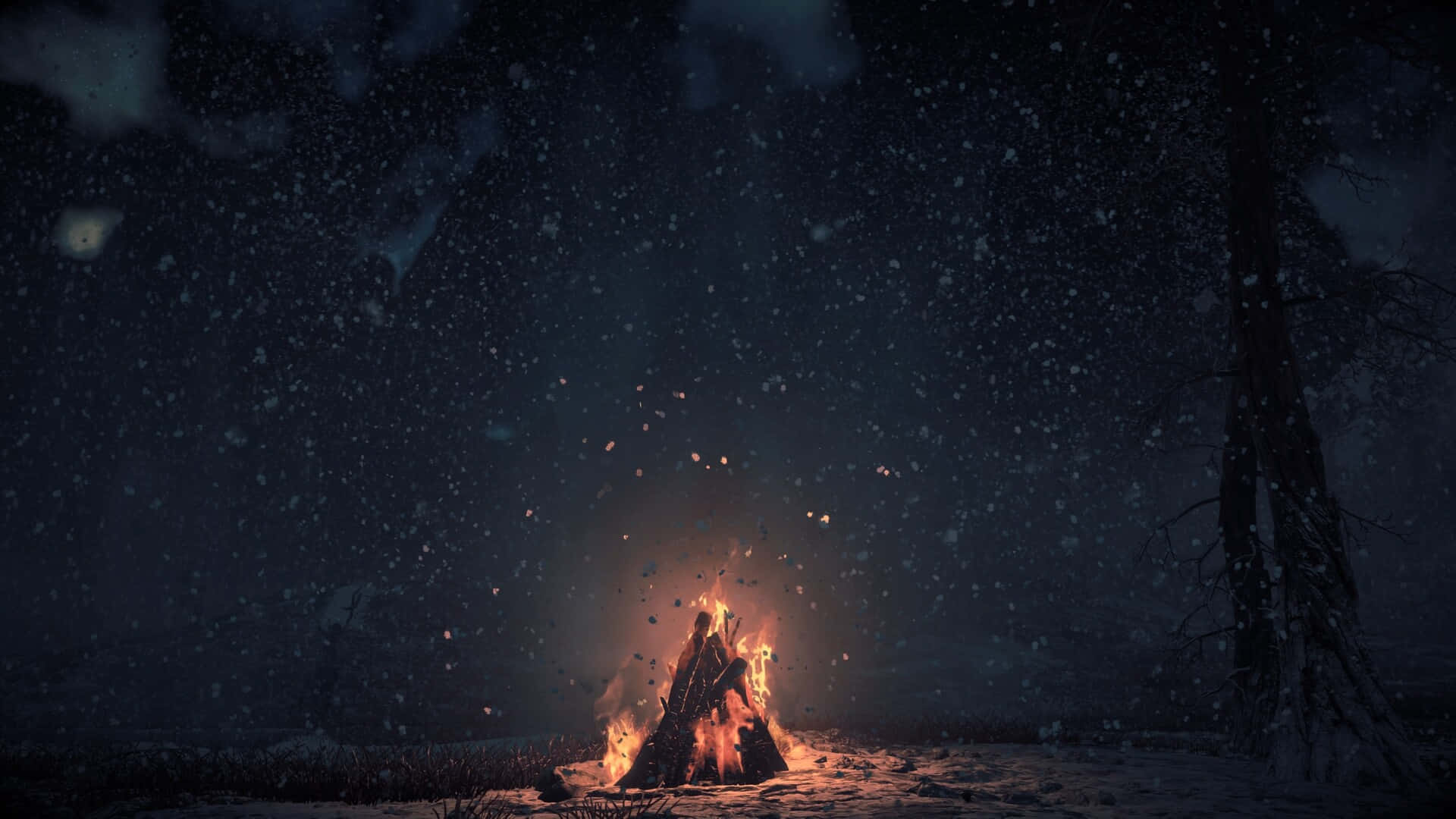 campfire, snowy night sky, falling snowflakes, Full HD Desktop Wallpaper