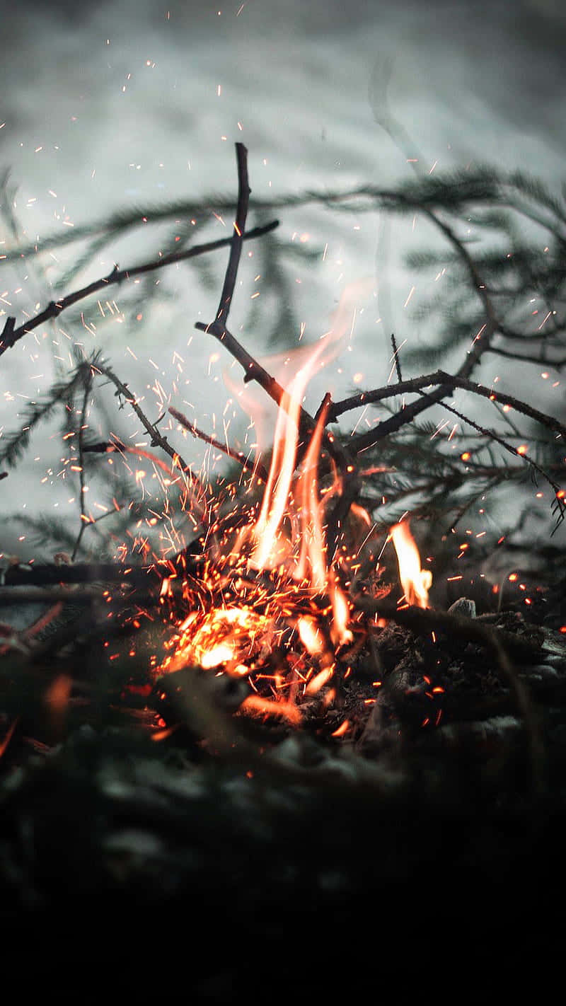 campfire, twigs, orange flames, HD Phone Wallpaper