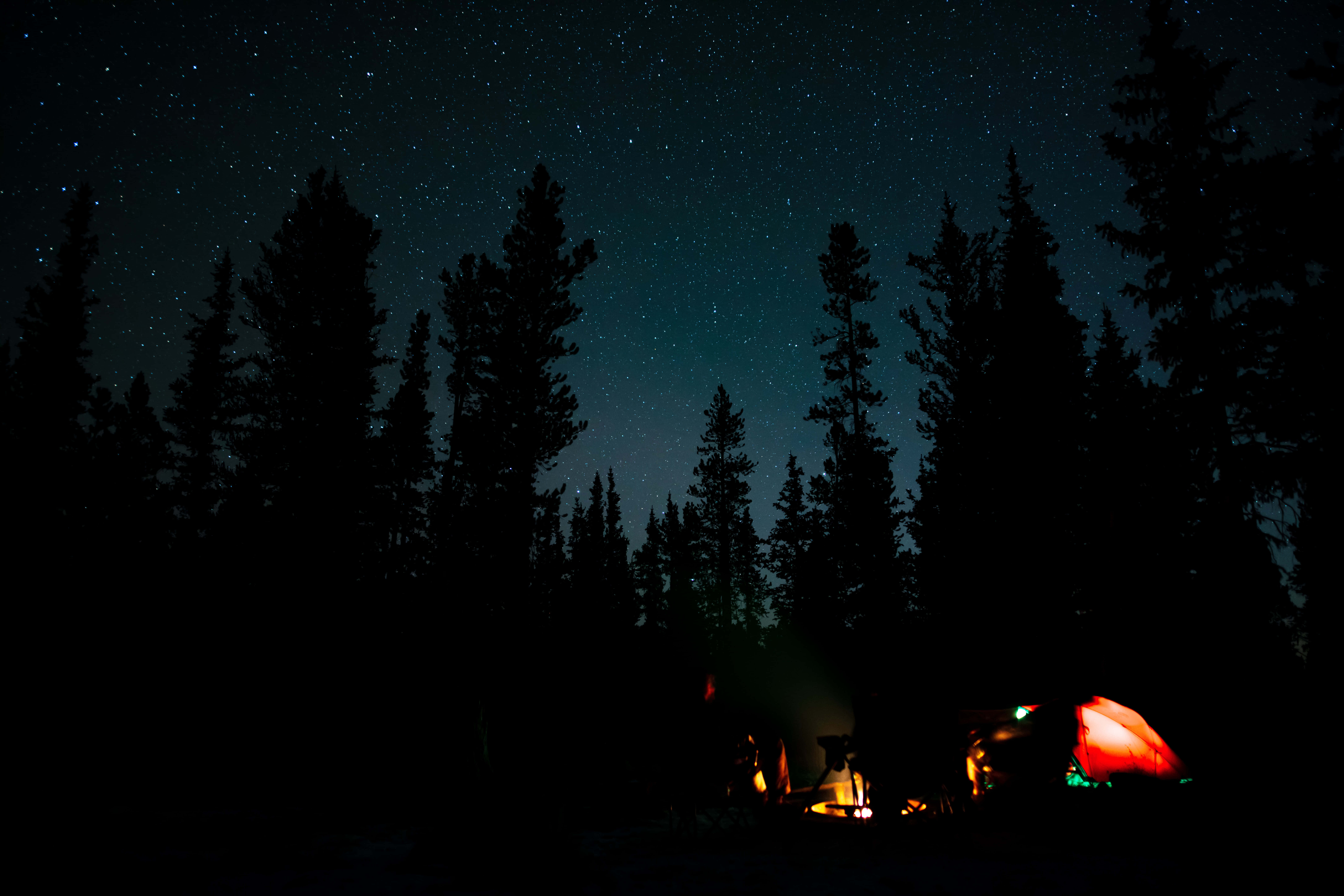 Dark Forest Camping Desktop, glowing red tent, campfire, 8K Desktop Wallpaper
