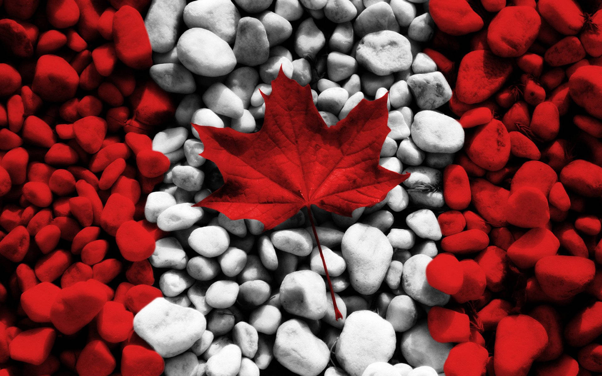 Canada flag, maple leaf, red, Full HD Desktop Wallpaper