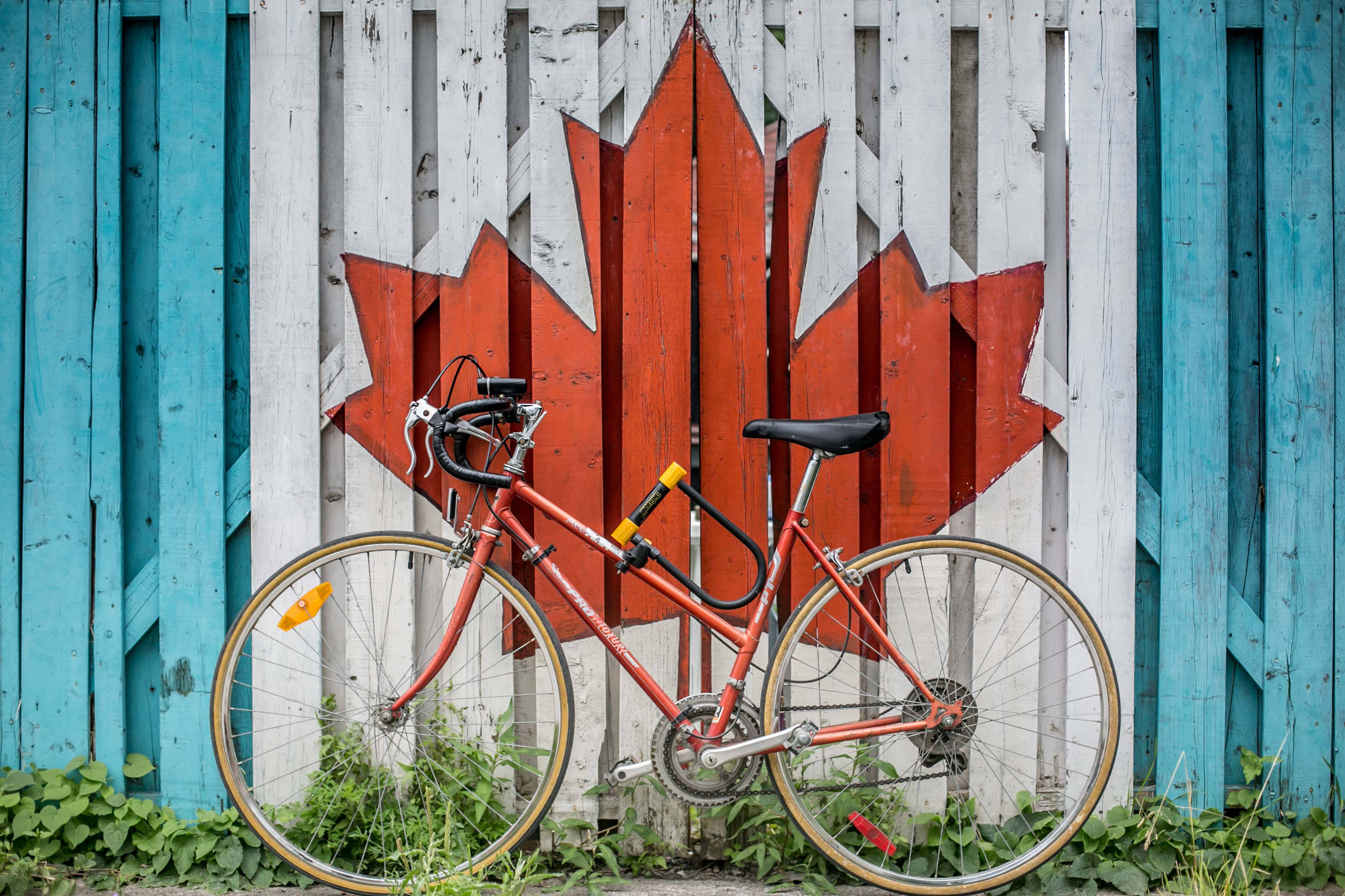 red maple leaf, blue sides, weathered fence, 4K Desktop Wallpaper