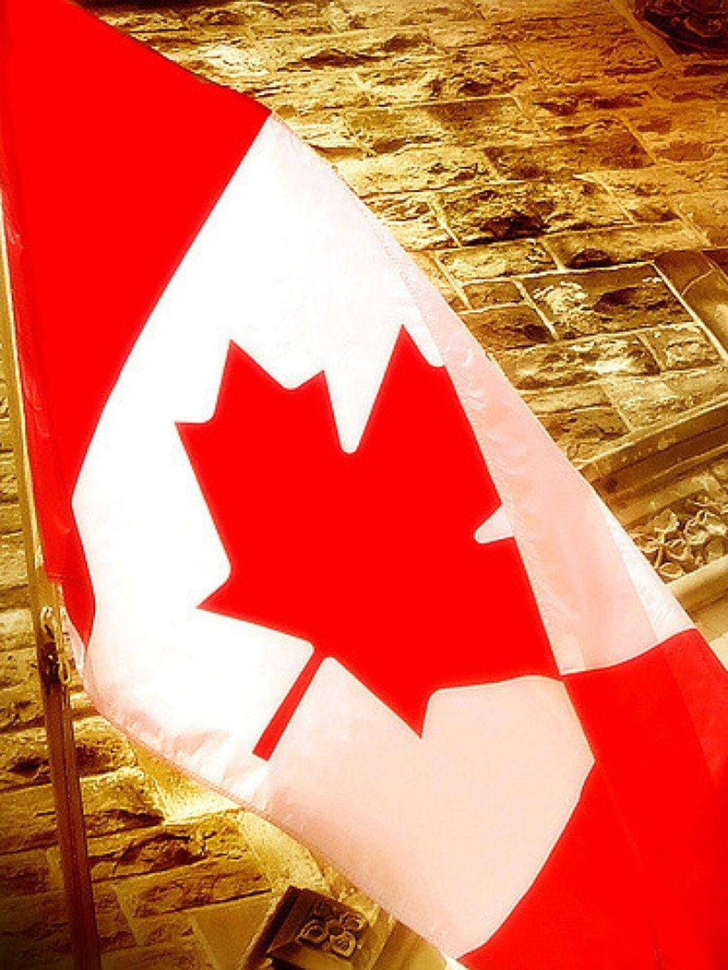 Canada Day Flag, red maple leaf, textured stone wall, Full HD Phone Wallpaper