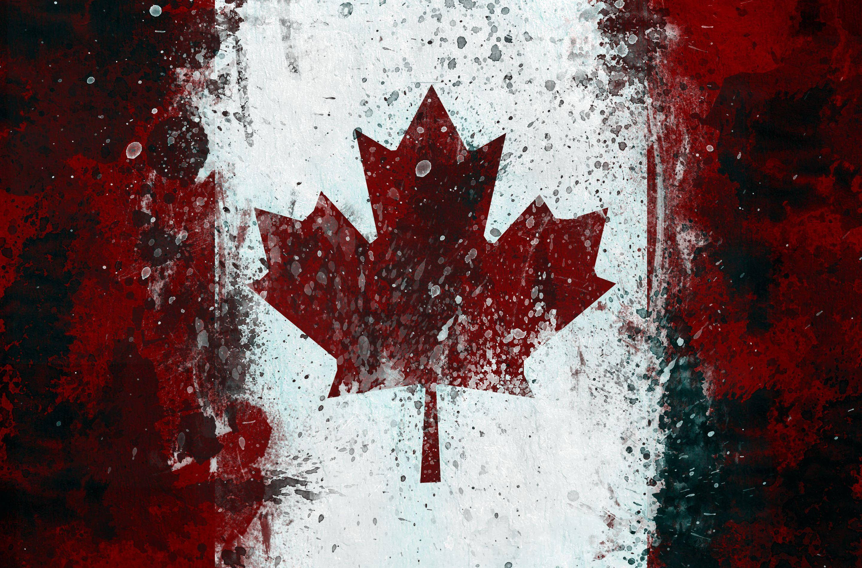 Canada flag, maple leaf, red, 2K Desktop Wallpaper