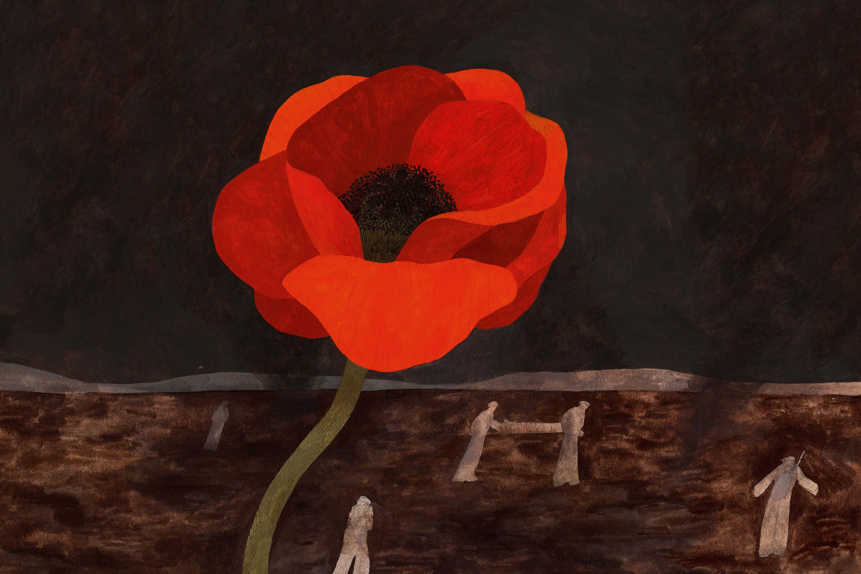 Remembrance Day, poppy field, vibrant red poppy, 2K Desktop Wallpaper