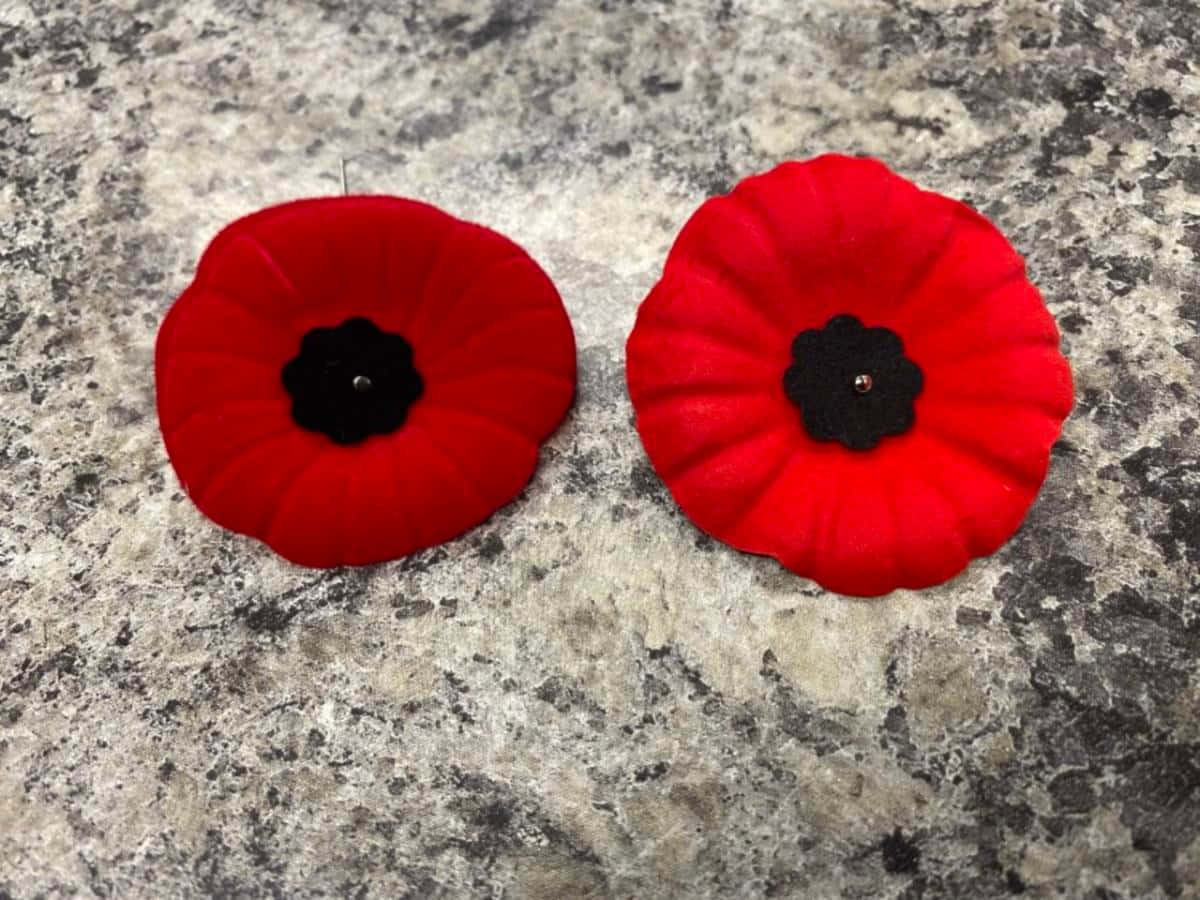 Remembrance Day, Canada, red poppy pins, SD Desktop Wallpaper