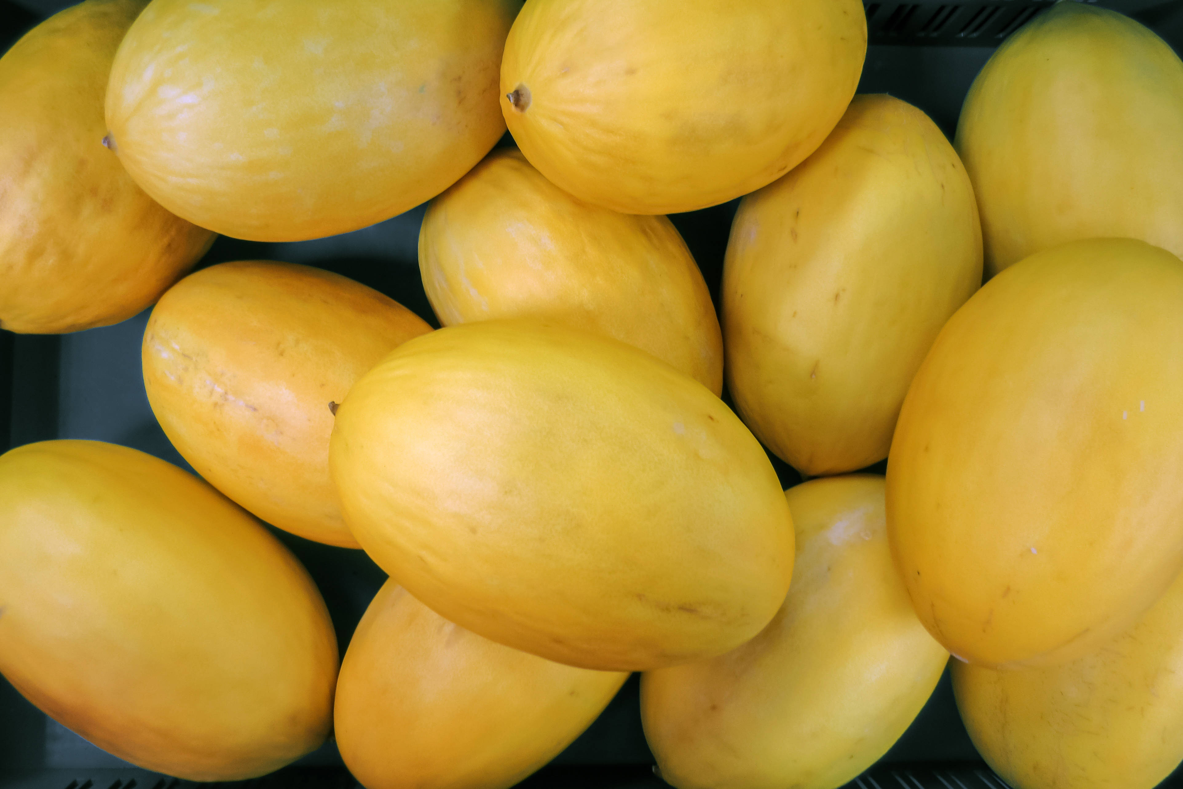 Canary Melon, ripe yellow squash, dark tray, 4K Desktop Wallpaper