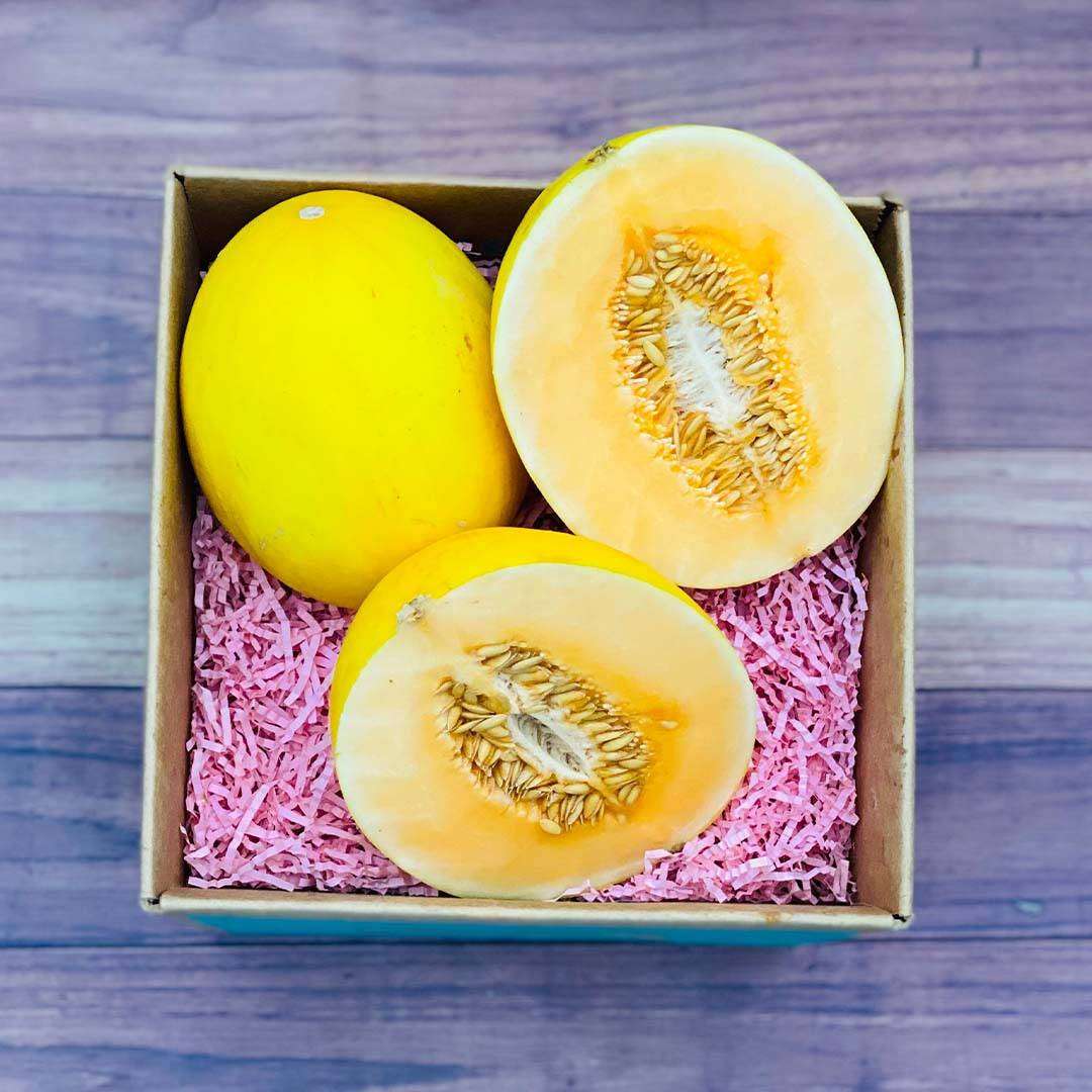Canary Melon, gift box, cardboard box, SD Desktop Wallpaper