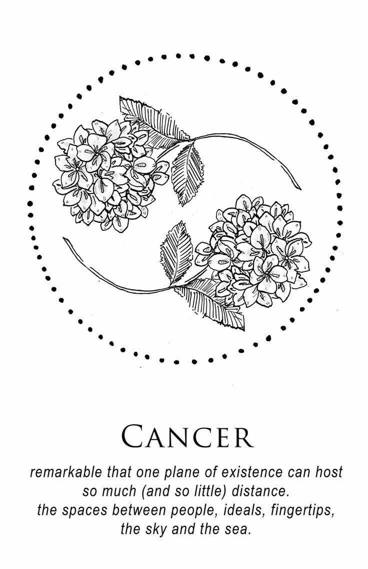 Cancer, hydrangea, dotted circle, SD Phone Wallpaper