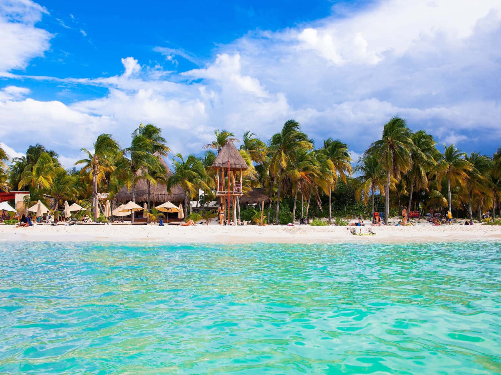Cancun Mexico, white sandy beach, palm trees, HD Desktop Wallpaper