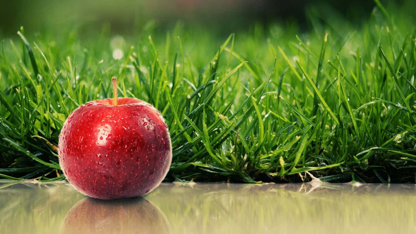 cute fruit red apple, dew-kissed red apple, vibrant green grass, HD Desktop Wallpaper