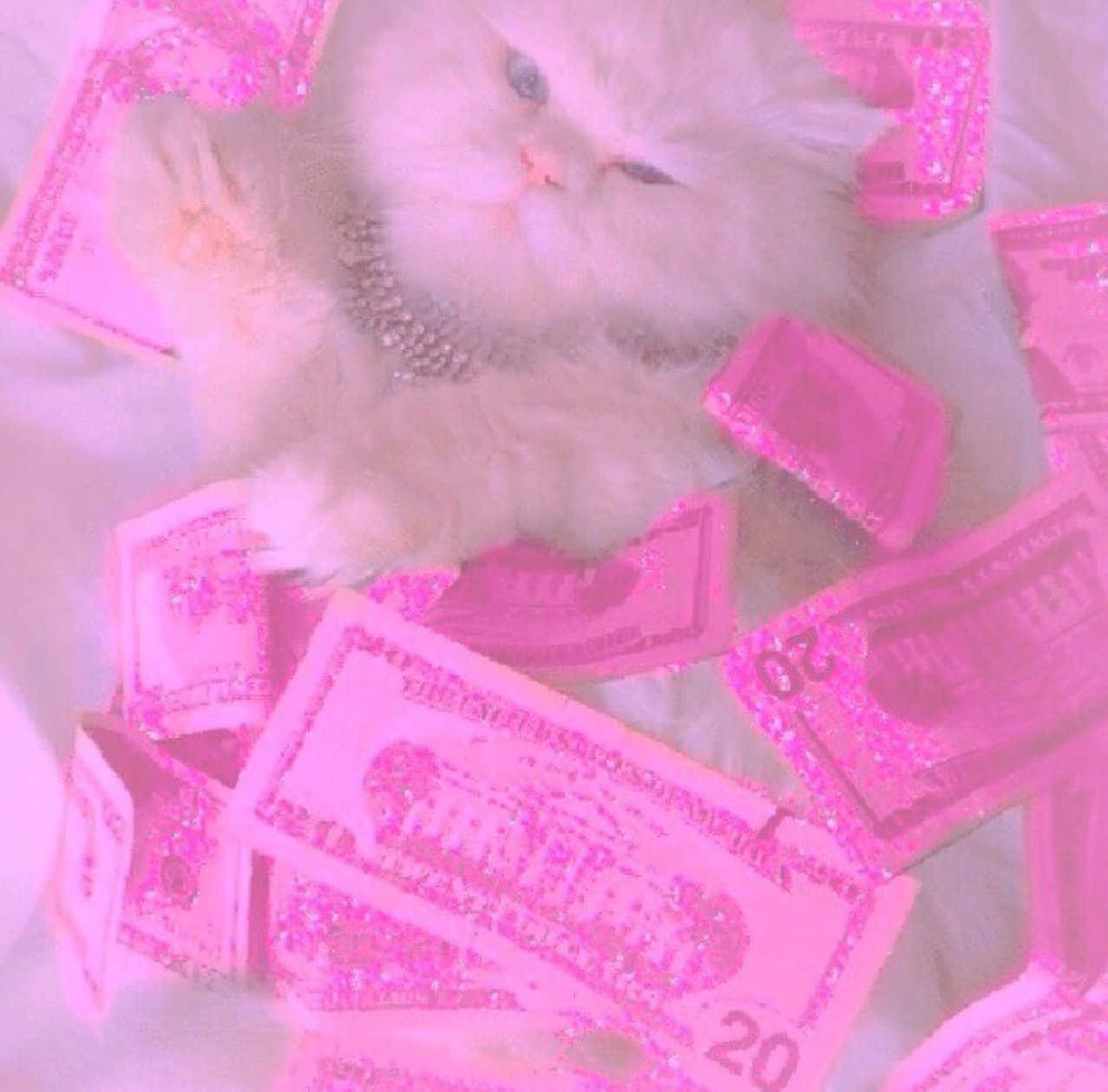 Candy Cat, fluffy white cat, glittery pink twenty dollar bills, SD Desktop Wallpaper