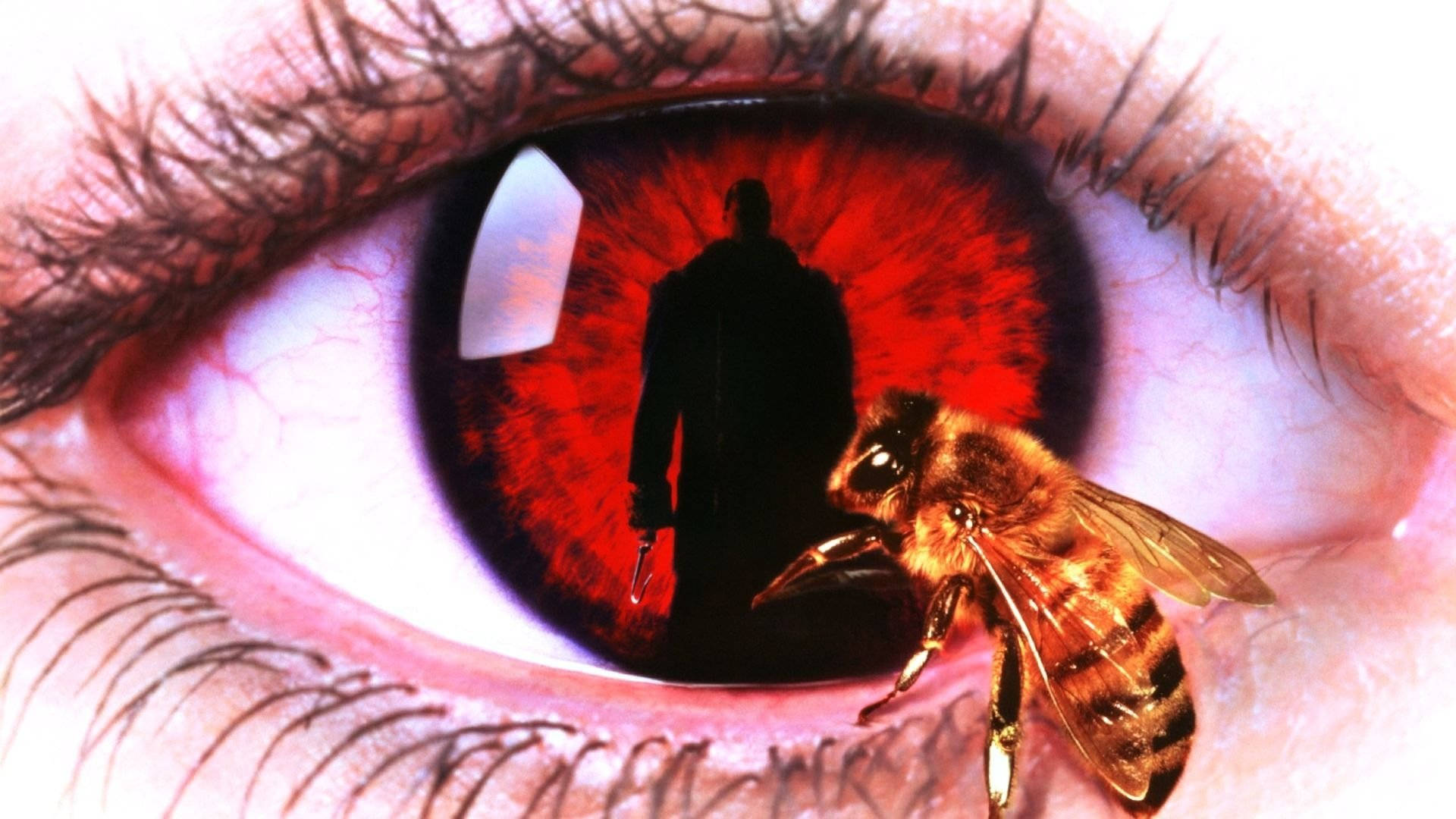 Candyman, bee, red iris, Full HD Desktop Wallpaper