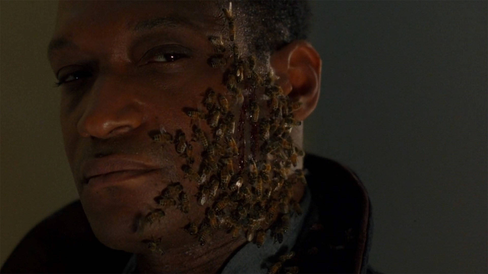 Candyman, bees, face, Full HD Desktop Wallpaper