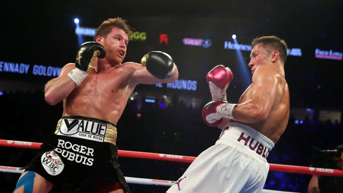 Canelo Alvarez, boxing, ring match, SD Desktop Wallpaper