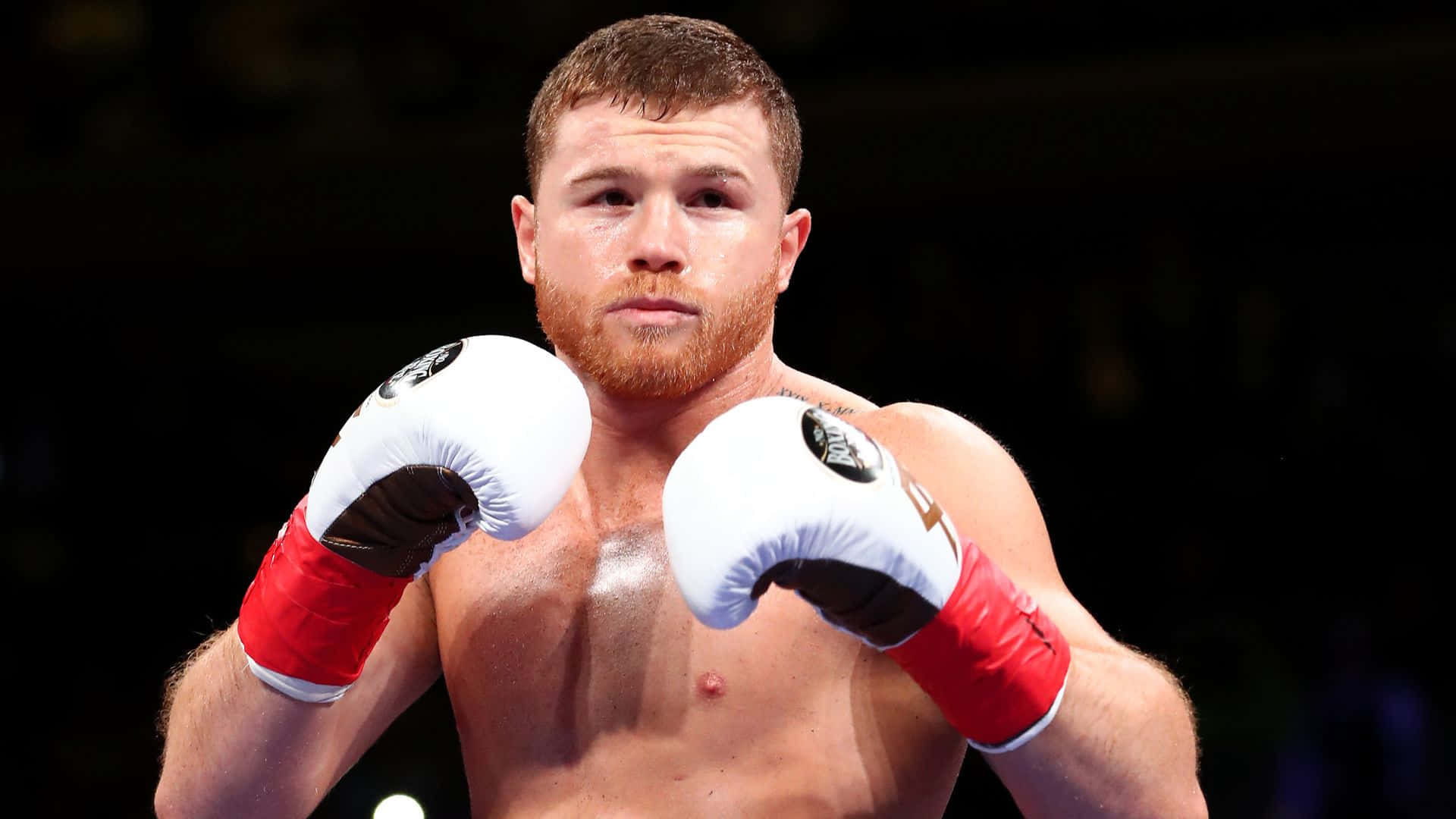 Canelo Alvarez, middleweight world champion, red beard, Full HD Desktop Wallpaper