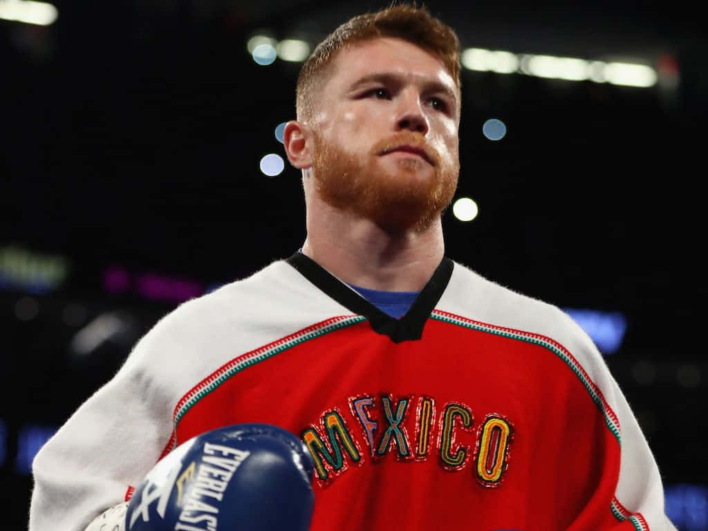 Canelo Alvarez, red Mexico jersey, blue gloves, SD Desktop Wallpaper