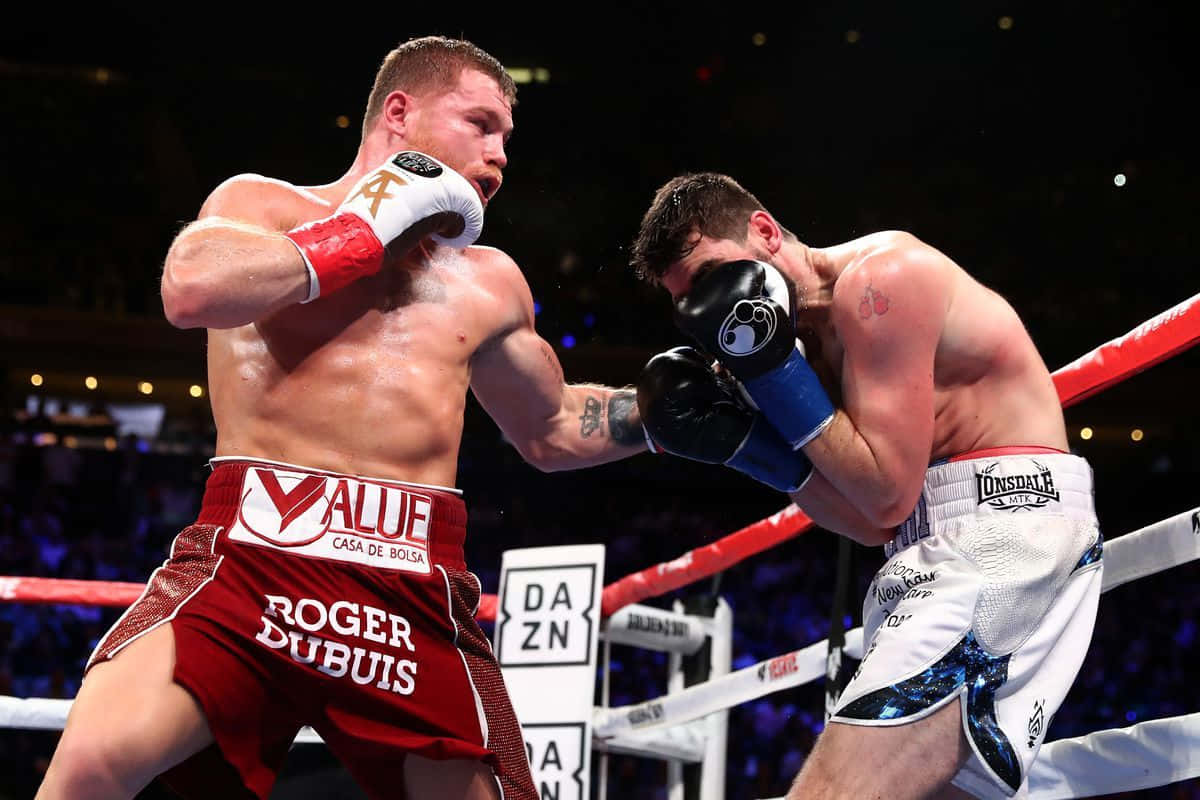 Canelo Alvarez, red shorts, white shorts, SD Desktop Wallpaper