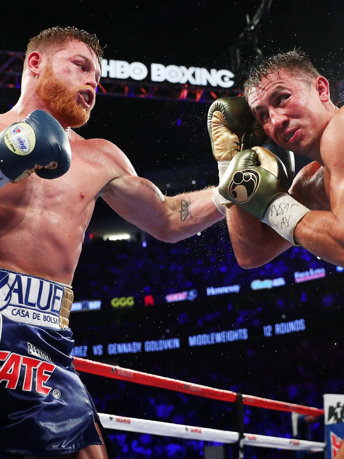 Canelo Alvarez, boxing champion, middleweight match, HD Phone Wallpaper