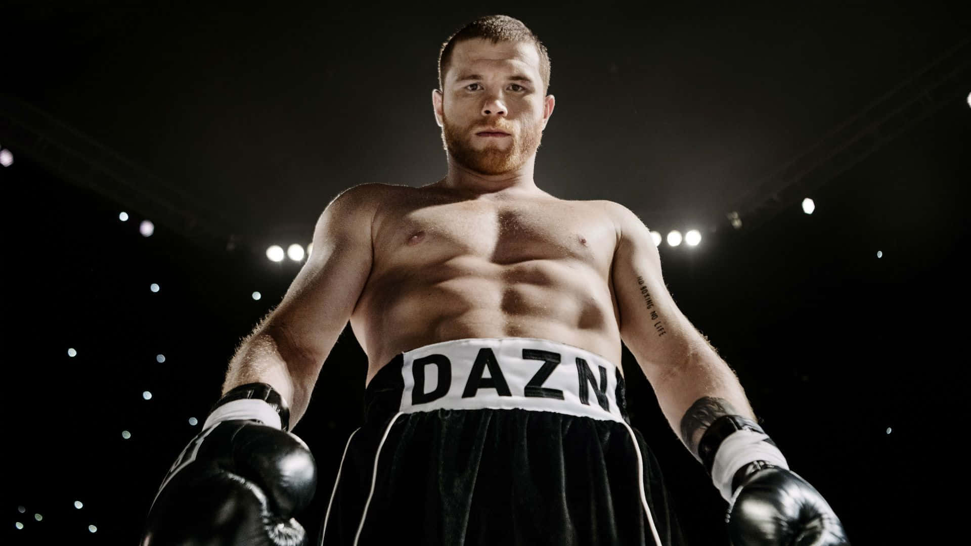 Canelo Alvarez, ring, bright lights, Full HD Desktop Wallpaper