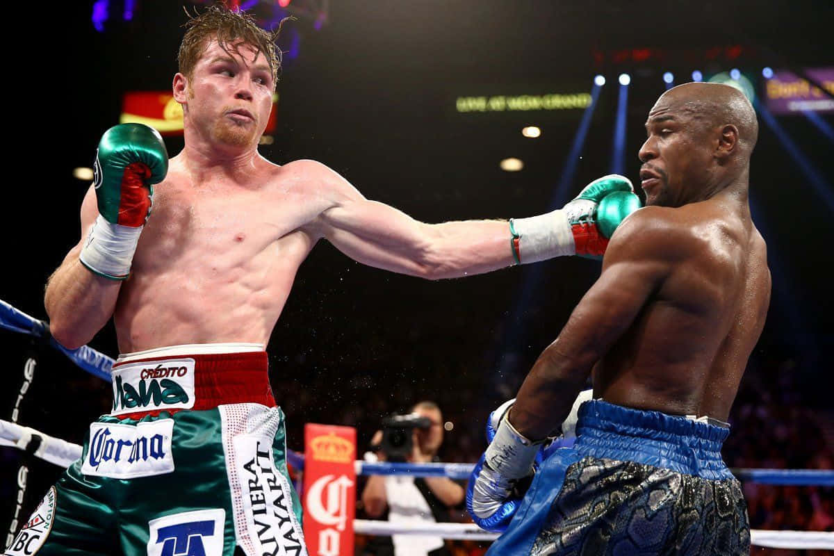 Canelo Alvarez, boxer, ring, SD Desktop Wallpaper