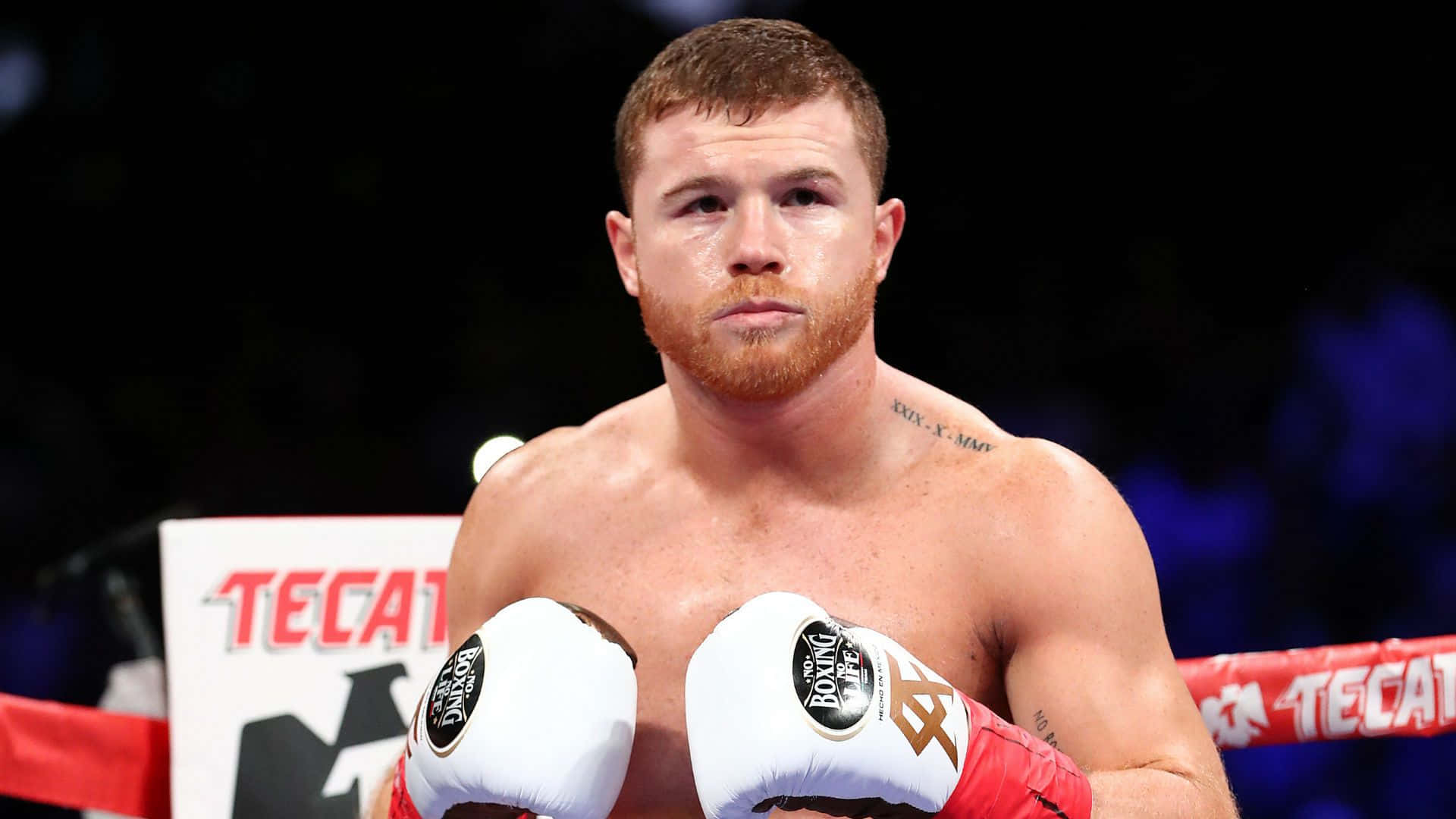 Canelo Alvarez, ring, white and red gloves, Full HD Desktop Wallpaper