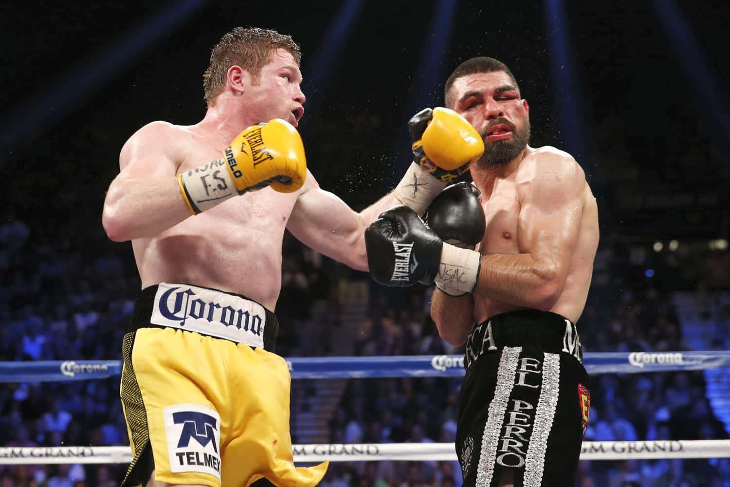 Canelo Alvarez, yellow shorts, brightly lit ring, HD Desktop Wallpaper