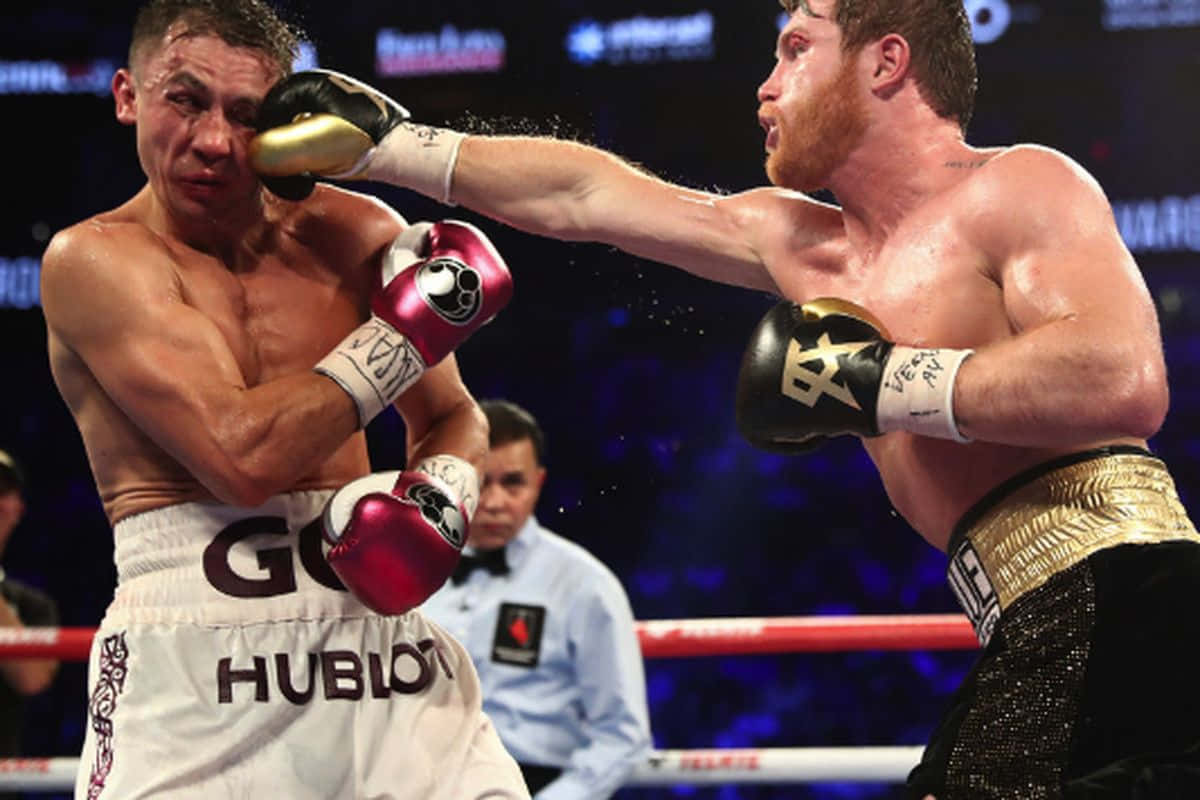 Canelo Alvarez, black, white trunks, SD Desktop Wallpaper