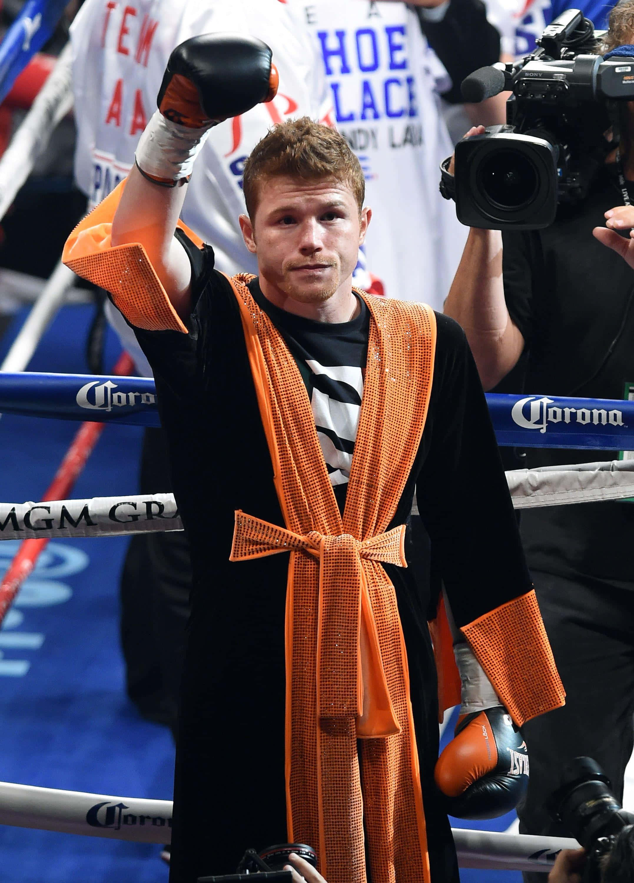 Canelo Alvarez, boxing ring, gloved fist, 2K Phone Wallpaper