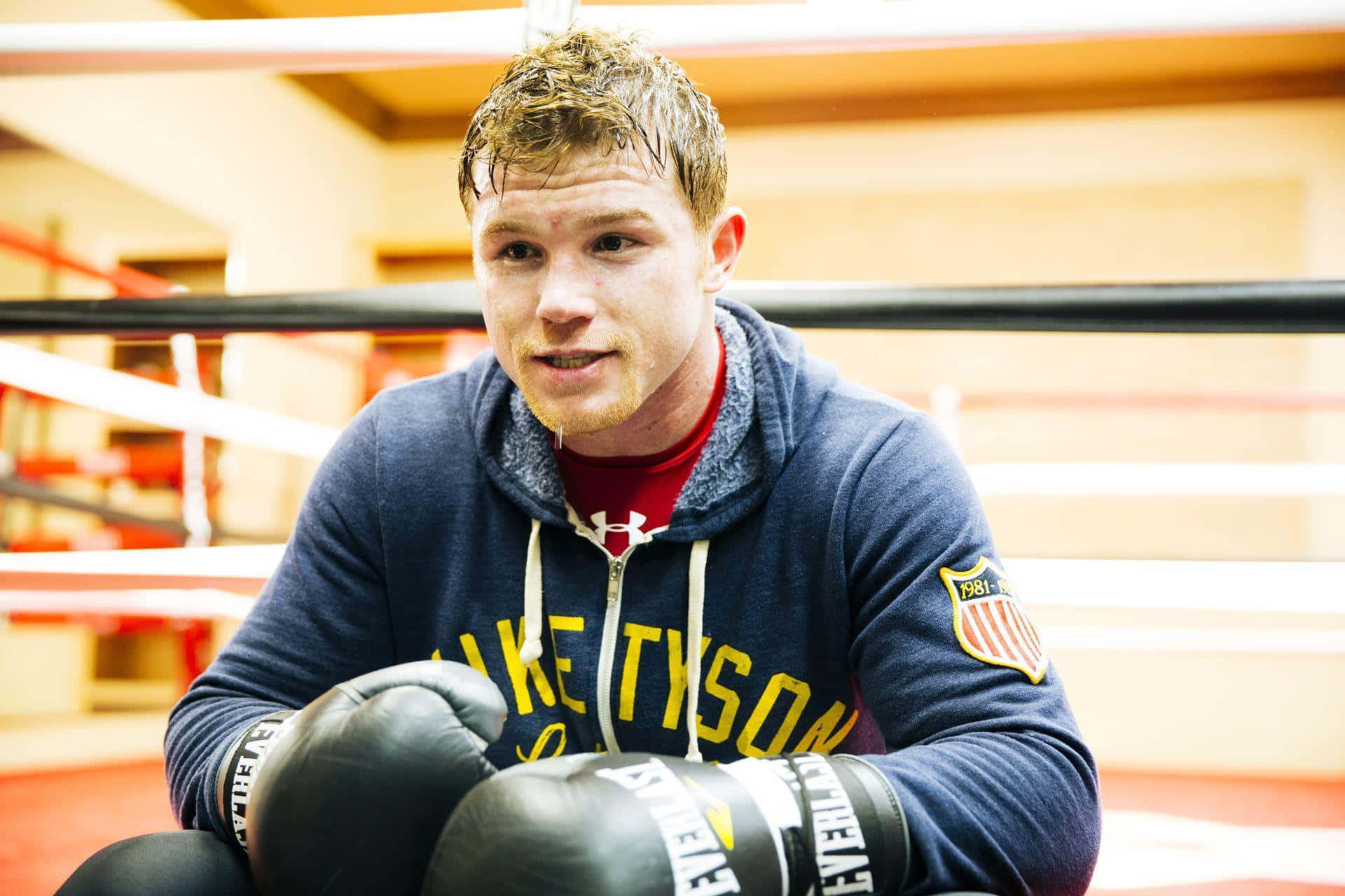 Canelo Alvarez, ring, gloves, Full HD Desktop Wallpaper