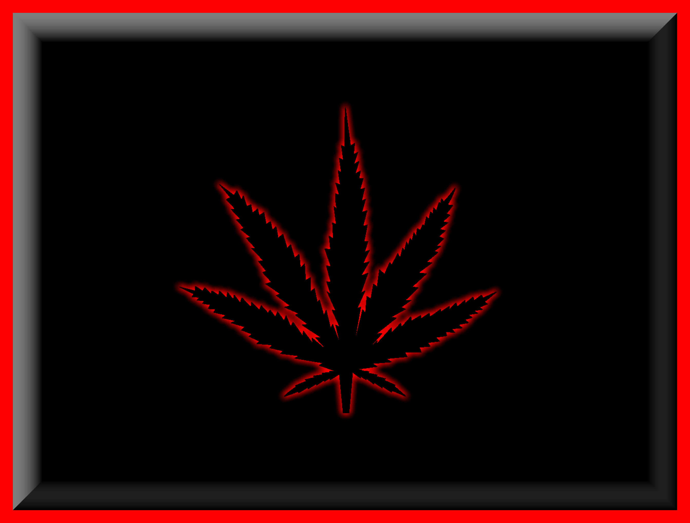 framed red cannabis leaf, glowing red cannabis leaf silhouette, black background, 2K Desktop Wallpaper