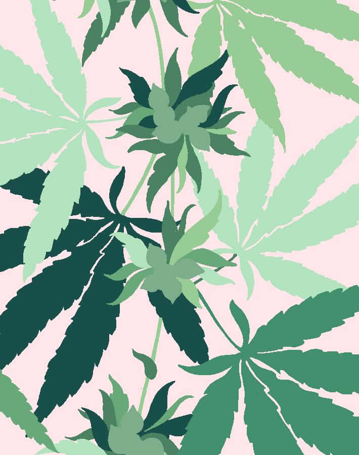 cannabis leaf, stilized cannabis leaves, varying shades of green, SD Phone Wallpaper