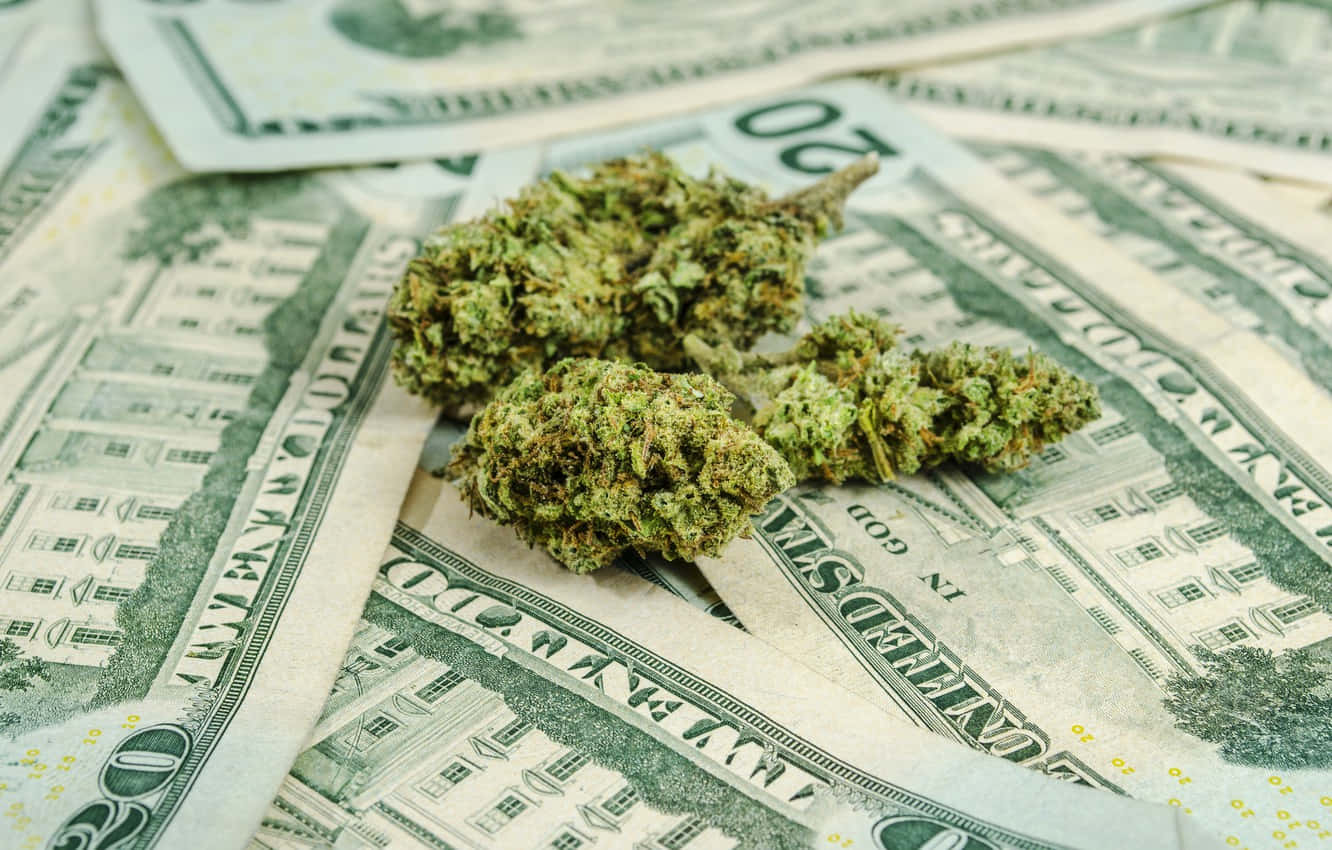 cannabis buds, twenty-dollar bills, close-up shot, HD Desktop Wallpaper