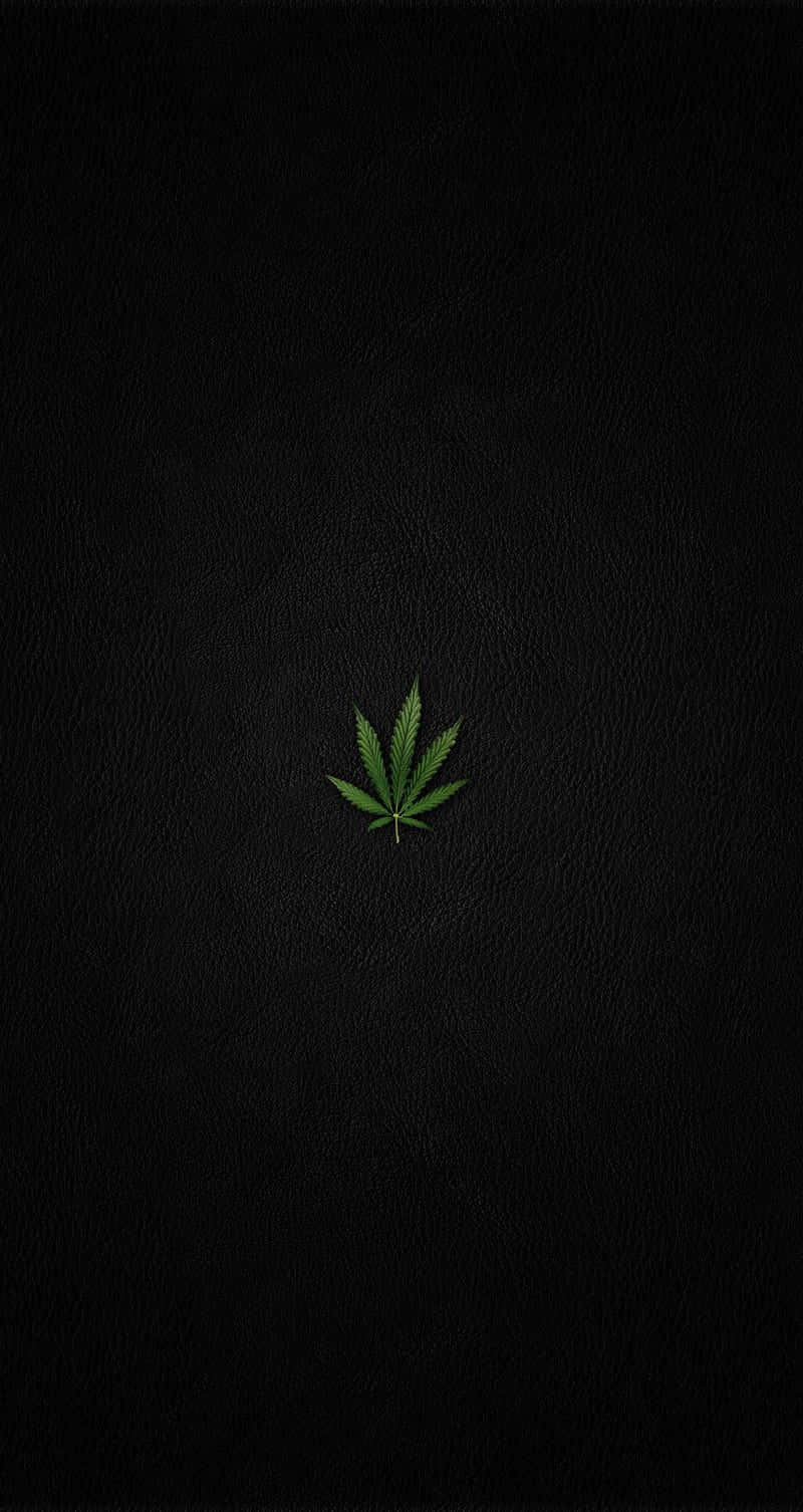 cannabis leaf, vibrant green, textured black leather background, HD Phone Wallpaper