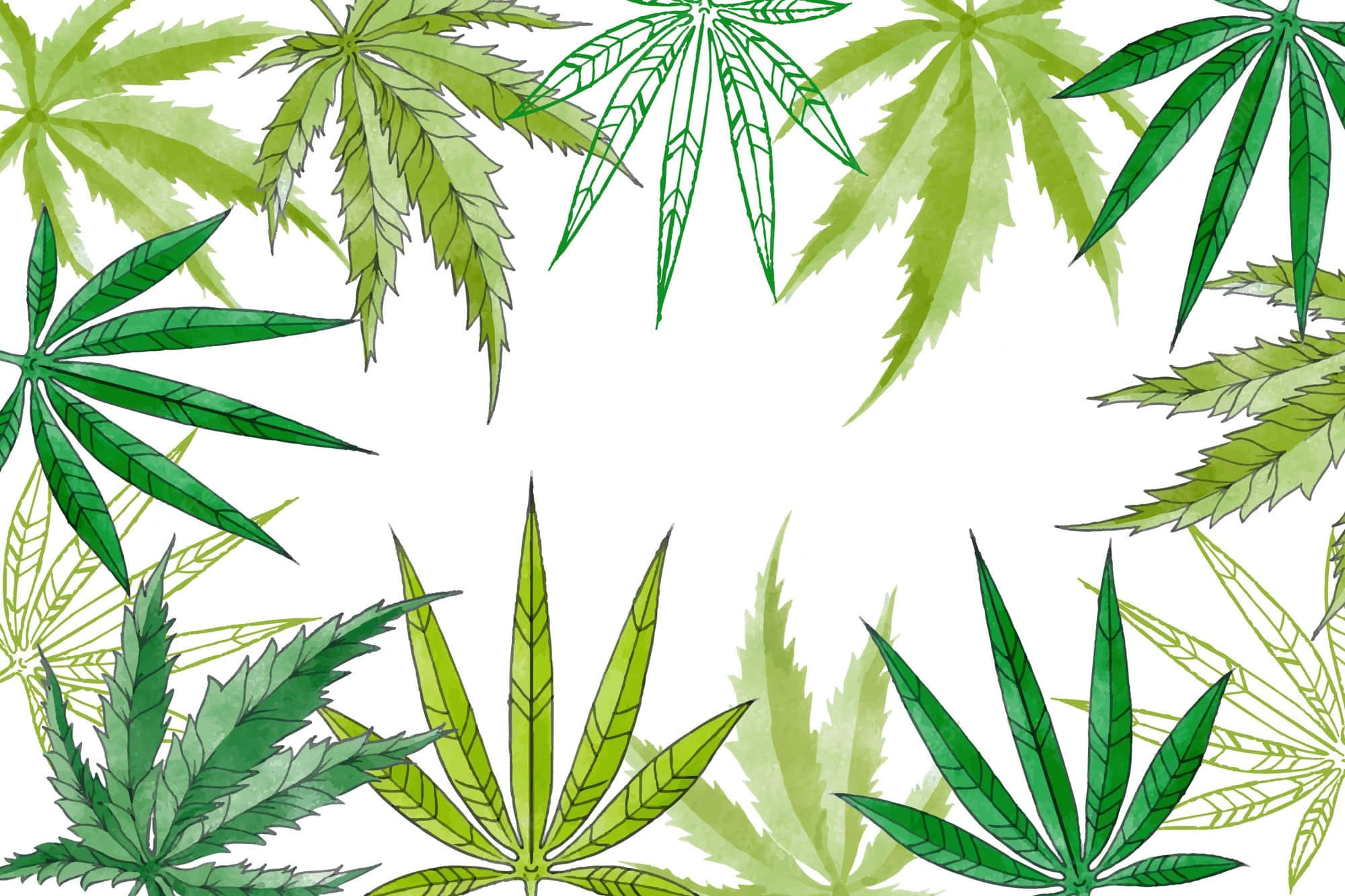cannabis leaf, vibrant green, decorative border, Full HD Desktop Wallpaper