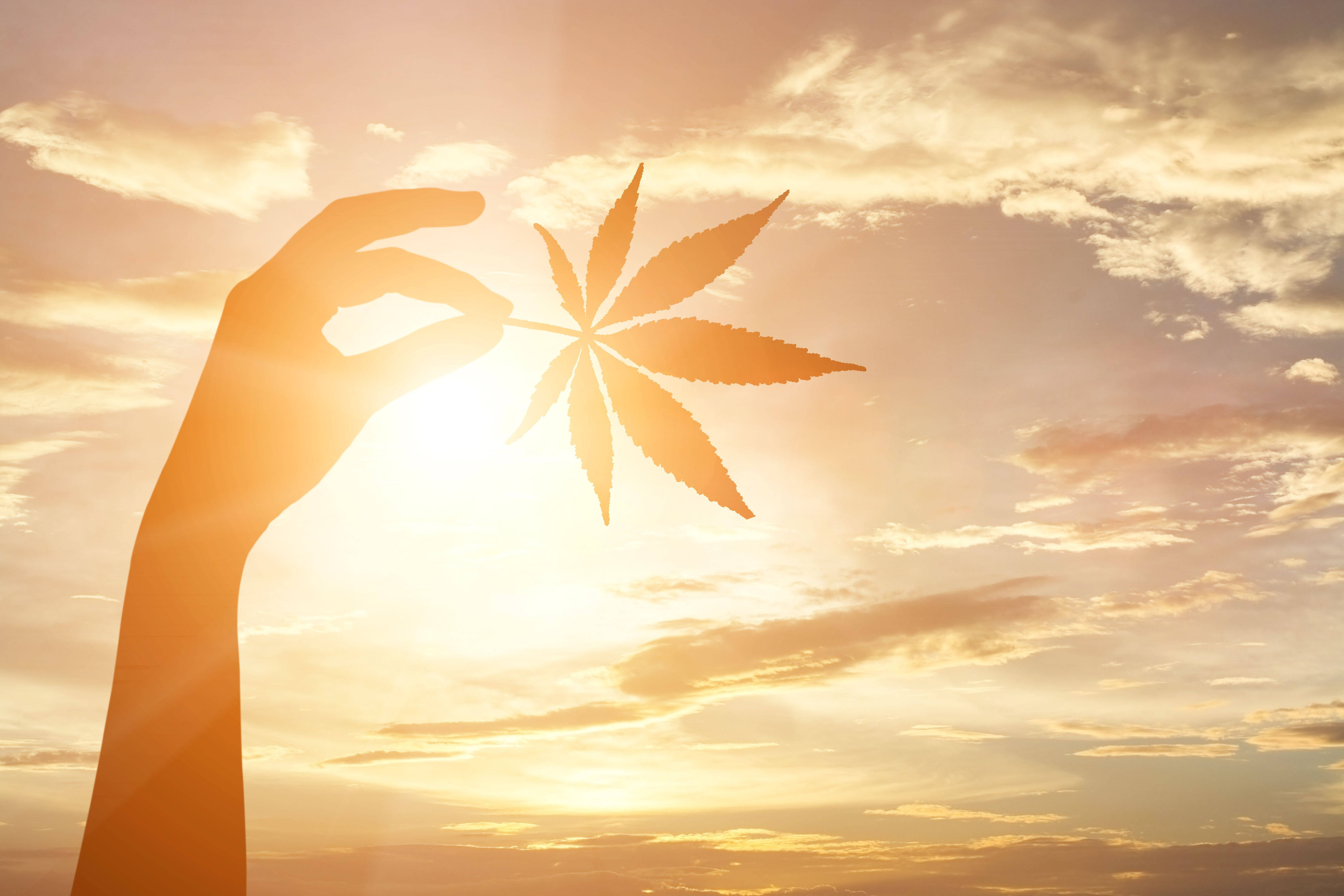 cannabis leaf, glowing sunset sky, warm golden clouds, 5K Desktop Wallpaper