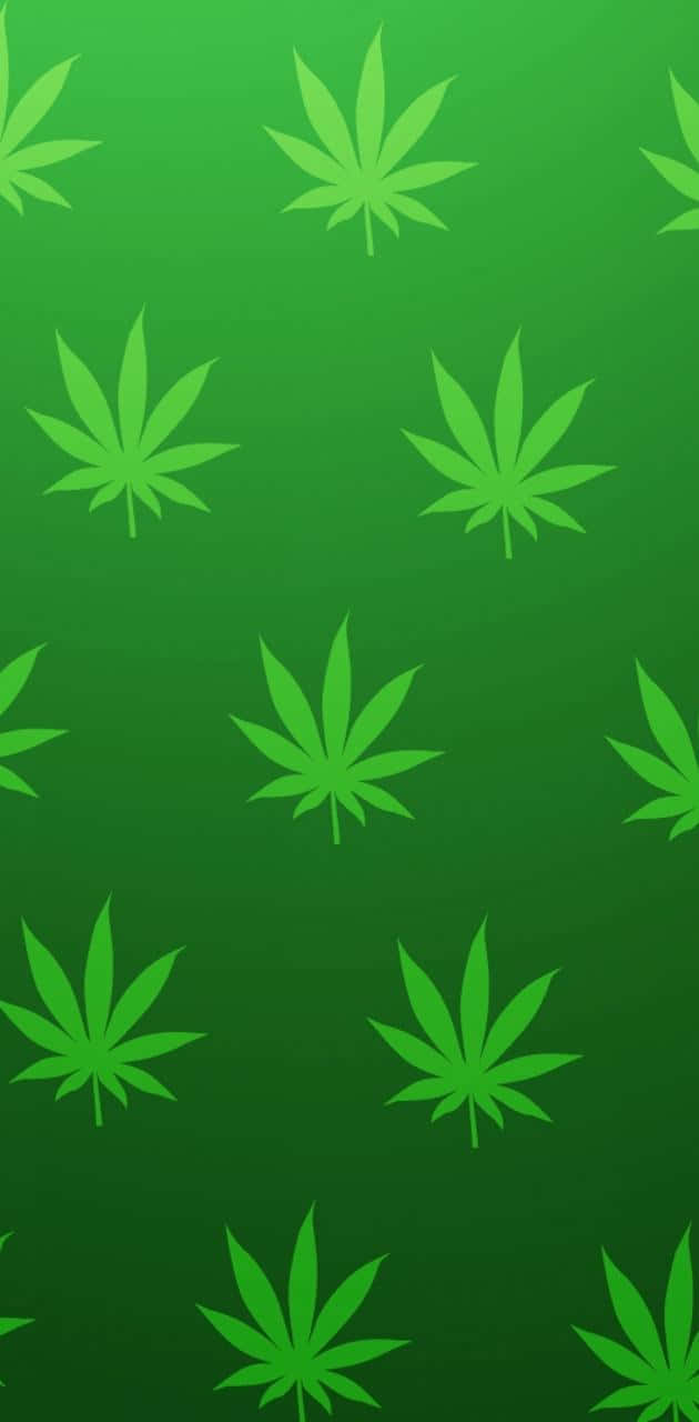 neon green, cannabis leaf, gradient green, HD Phone Wallpaper