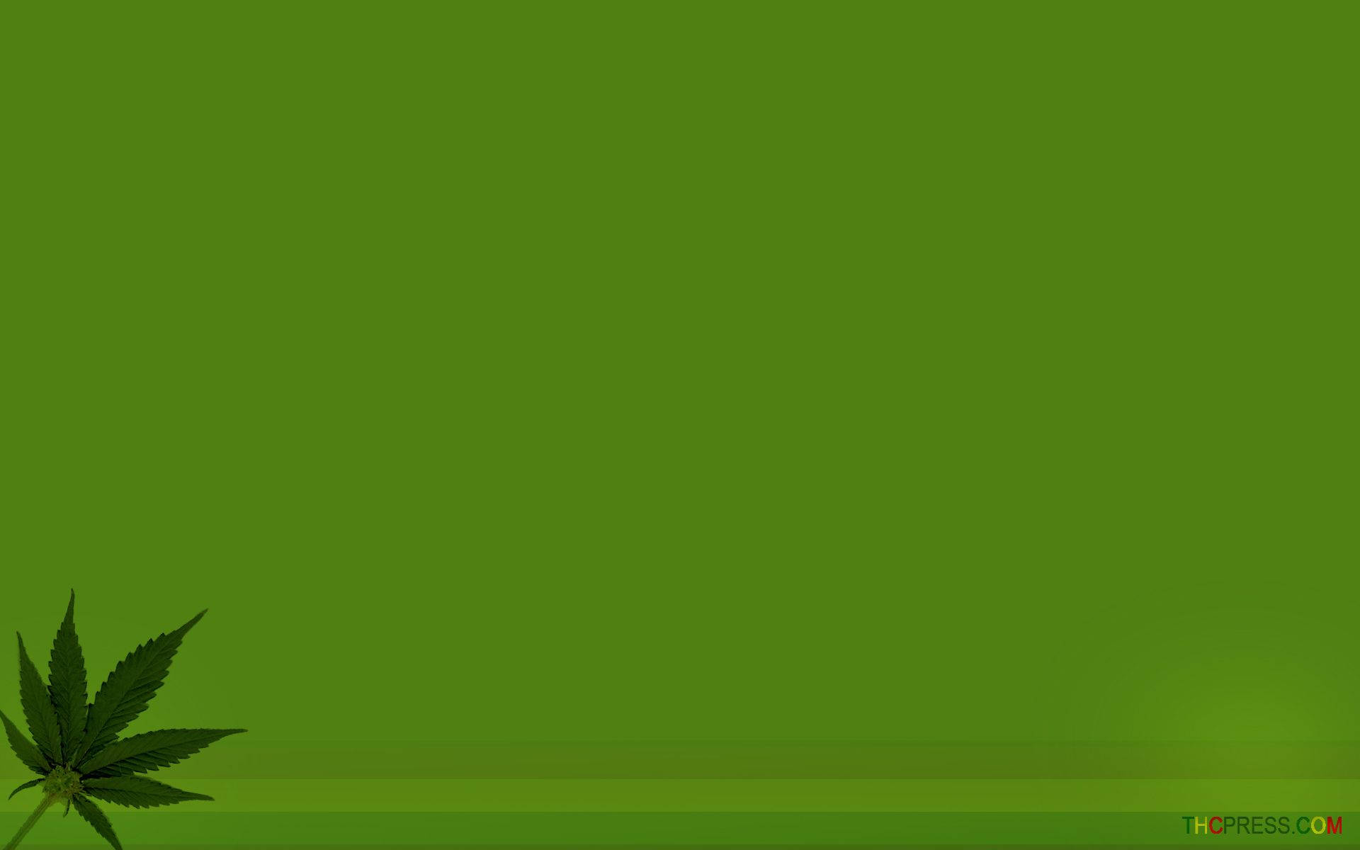cannabis leaf, dark green, solid gradient green background, Full HD Desktop Wallpaper