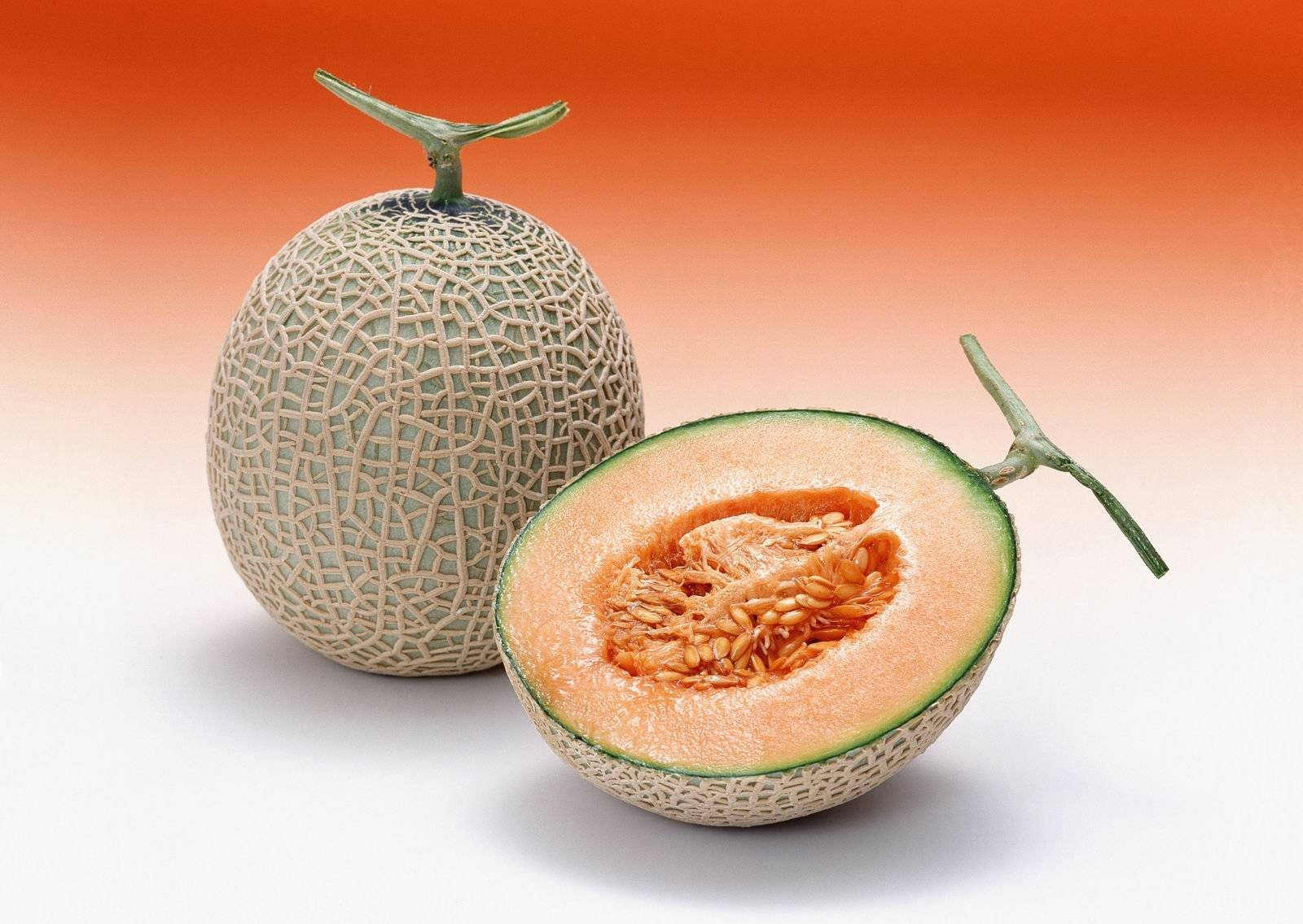 ripe cantaloupe, cantaloupe melon, netted rind, HD Desktop Wallpaper