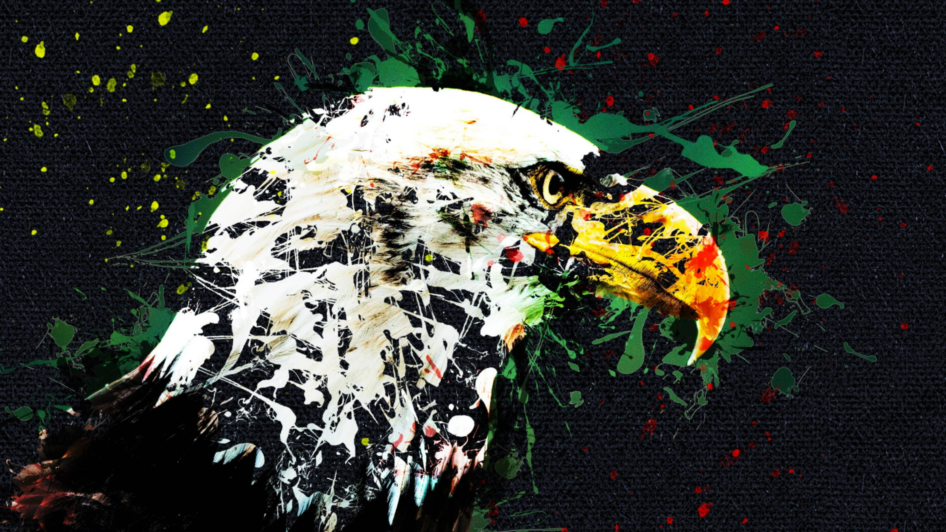 Canva, eagle, white, 4K Desktop Wallpaper