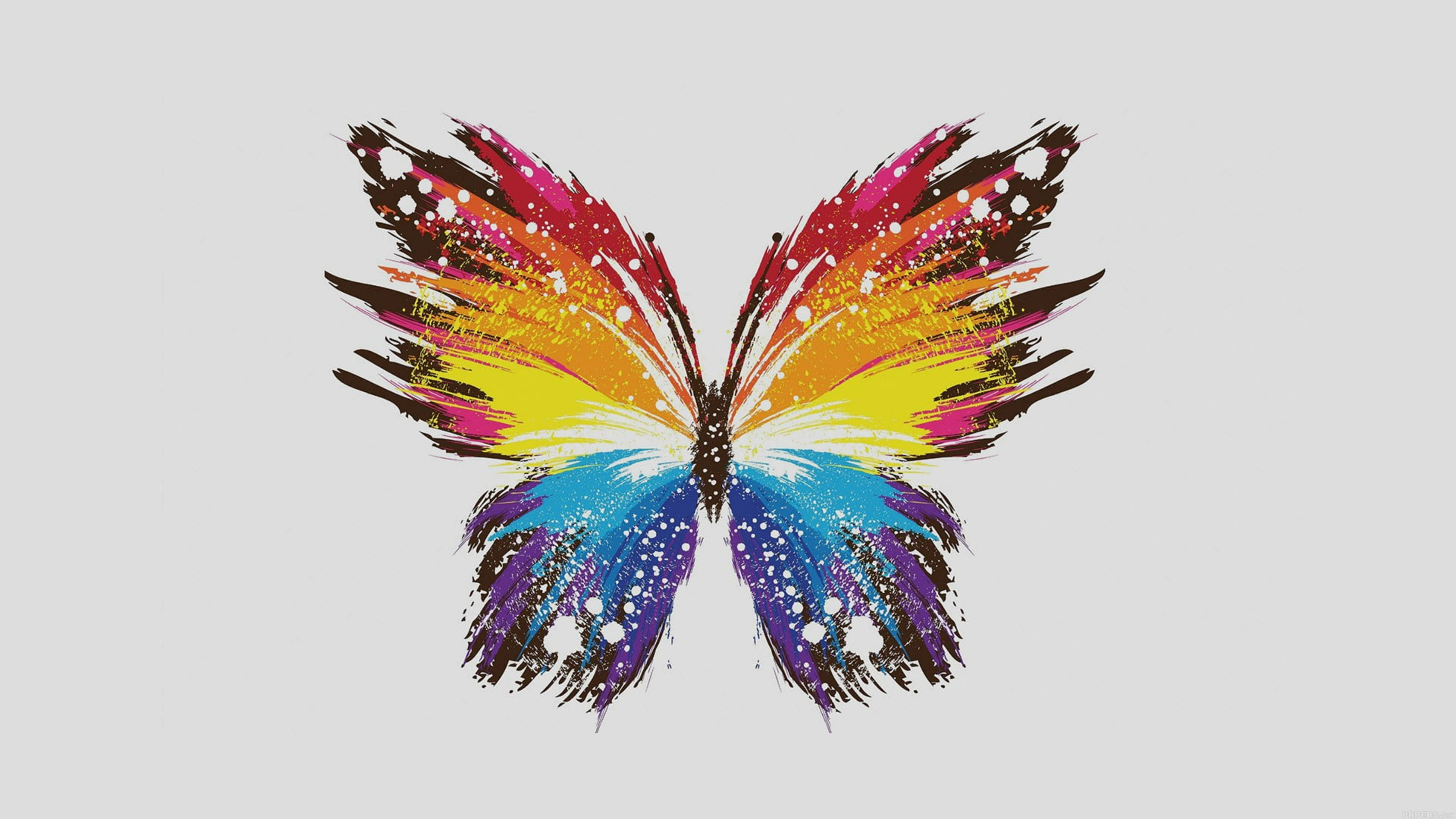 Canva, multicolored butterfly, rainbow wings, 4K Desktop Wallpaper