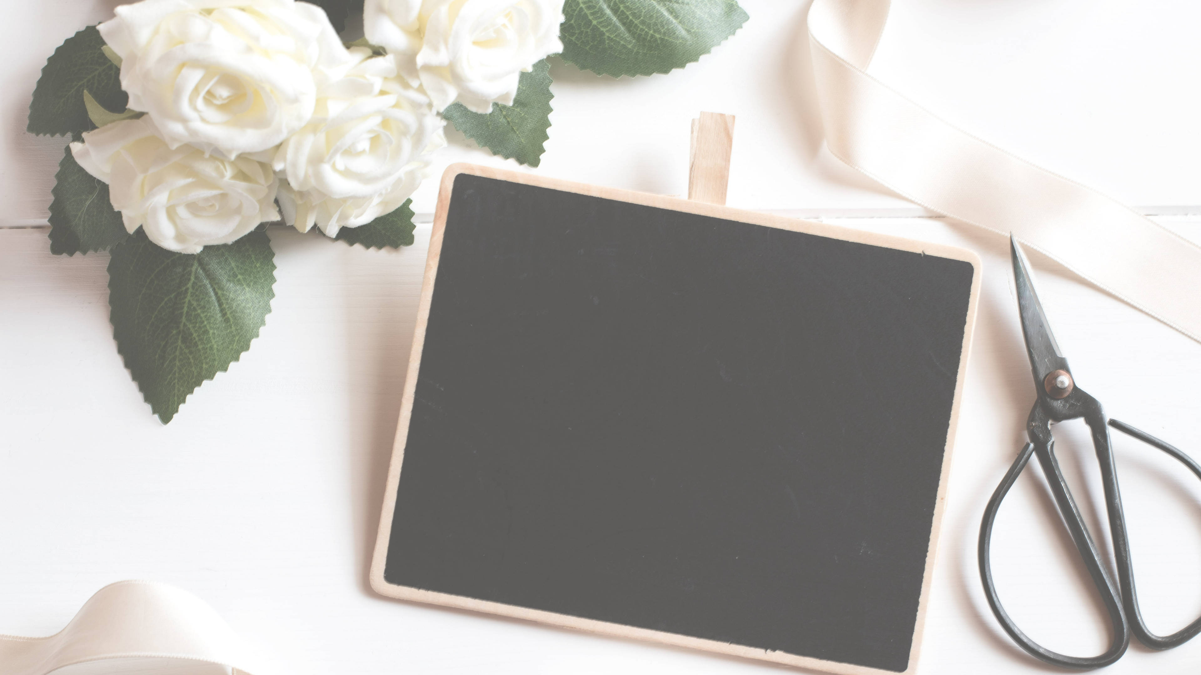 Canva, chalkboard, white roses, 4K Desktop Wallpaper